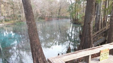 2015December Ginnie Springs (10).jpg