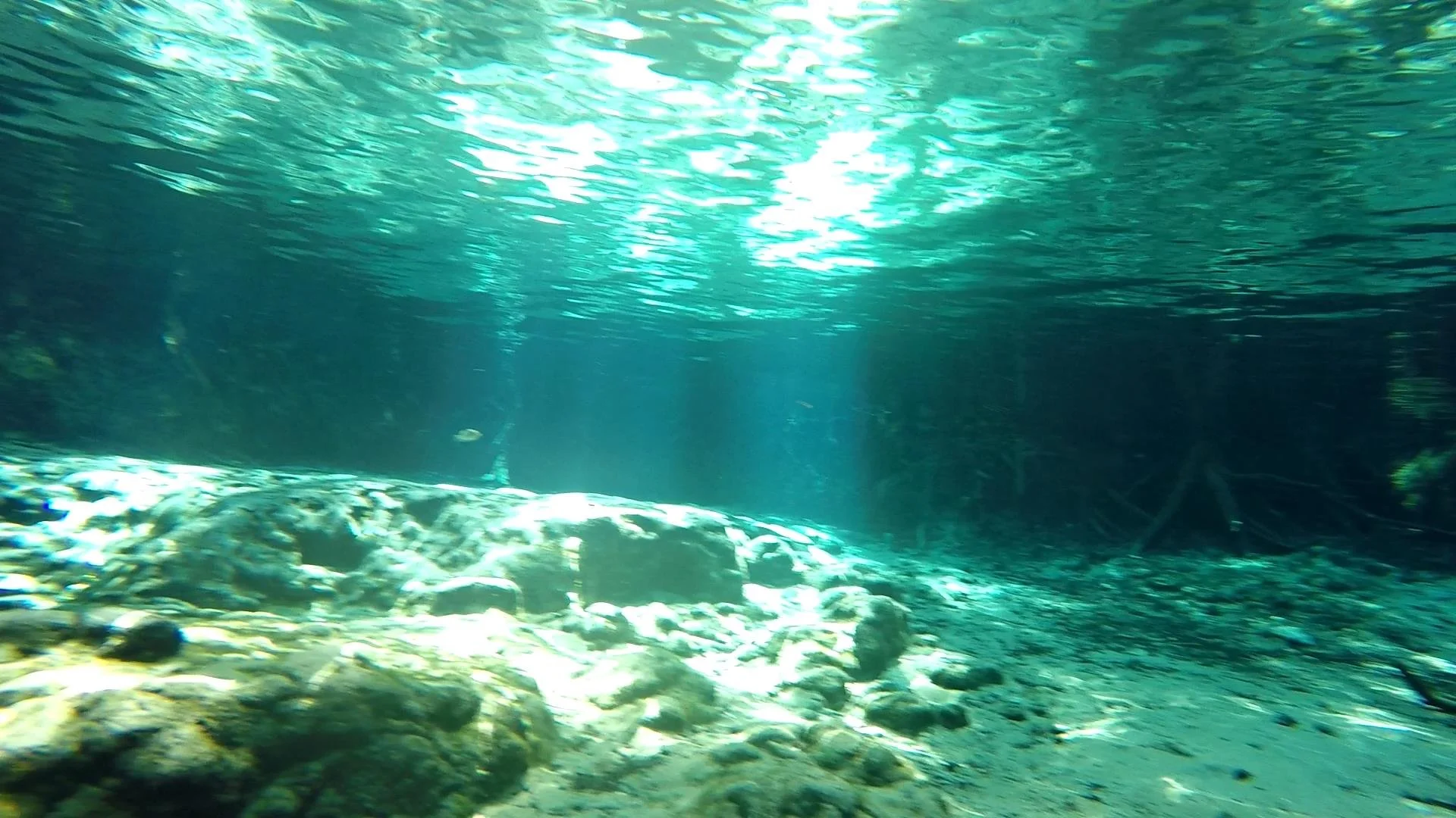 GOPR0719.MP4_snapshot_03.44_[2021.04.13_19.20.31].jpg
