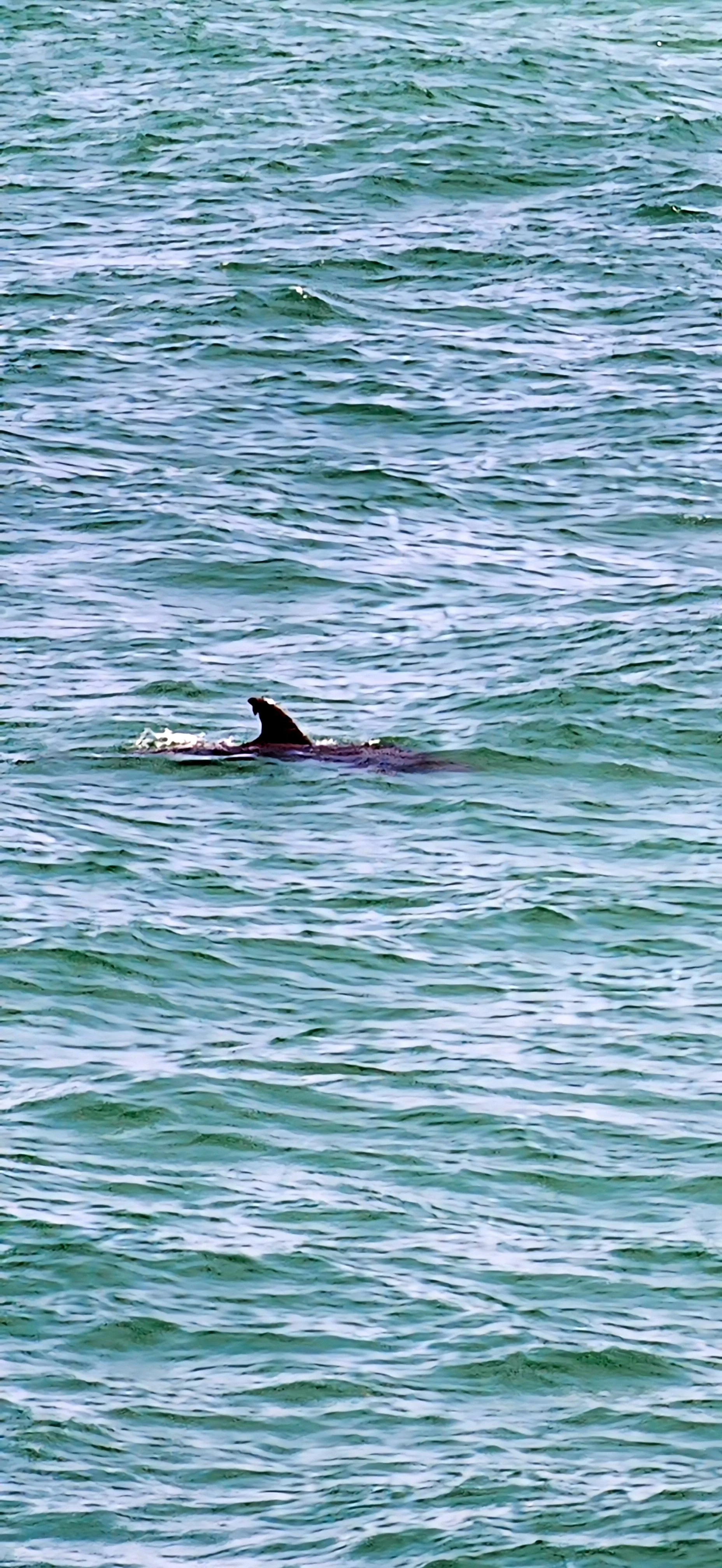 Panama City Beach, FL
