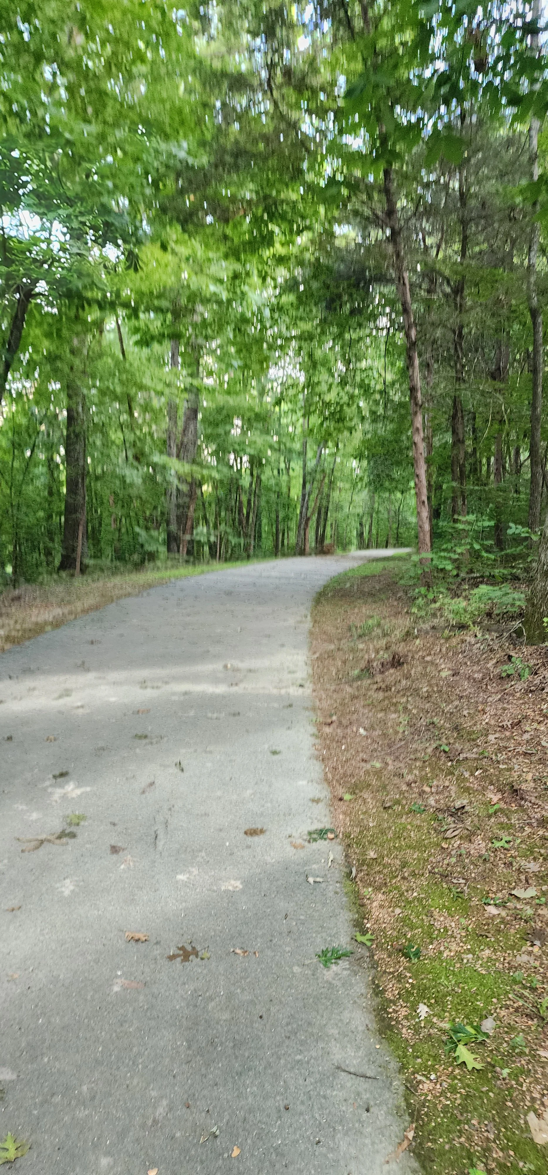 NorthTrailHead_MBoroGreenway (4).jpg