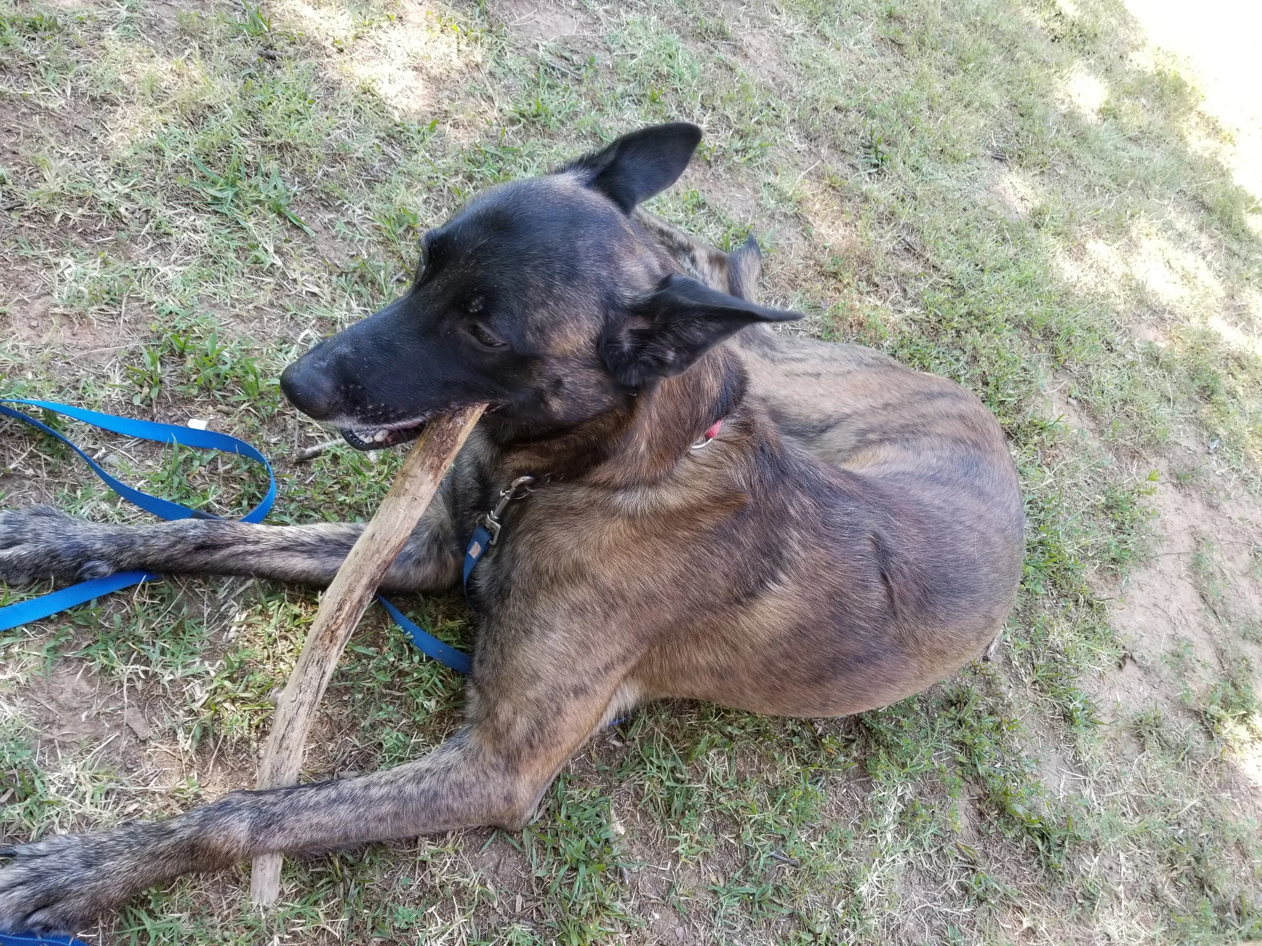 20190531_100522.jpg