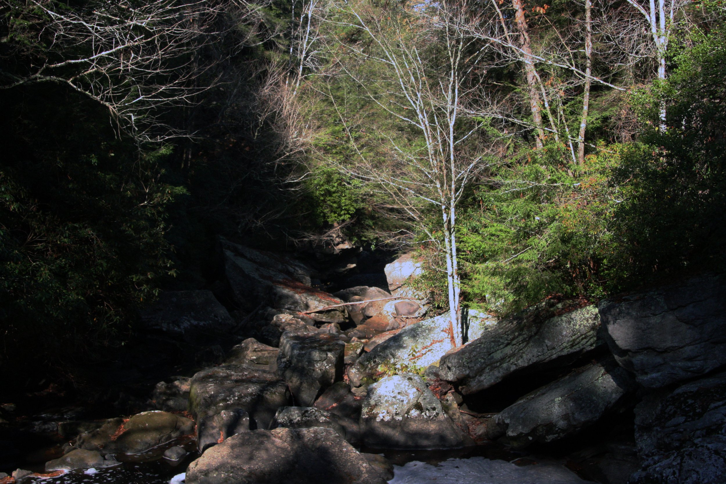 2011Nov11 SavageGulfHike (16).jpg