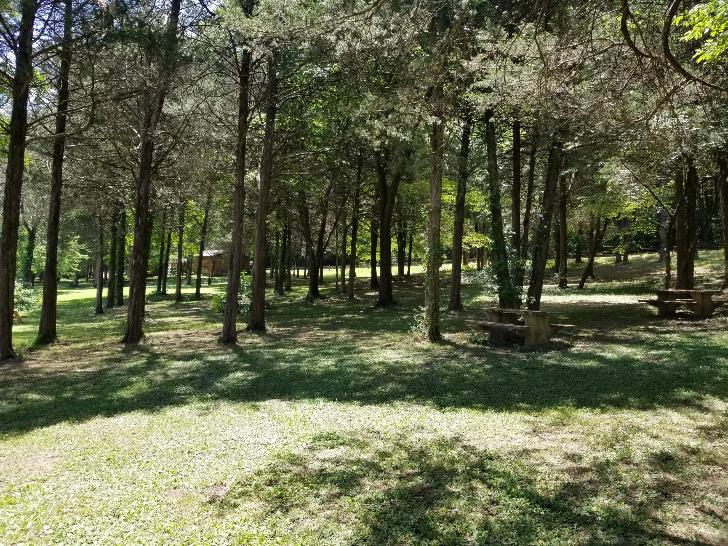 20190531_114242.jpg
