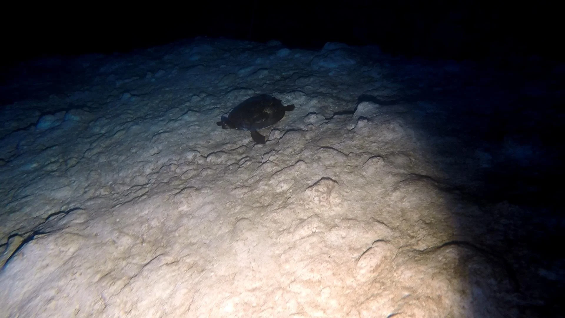 GOPR0722.MP4_snapshot_04.01_[2021.04.14_20.23.20].jpg