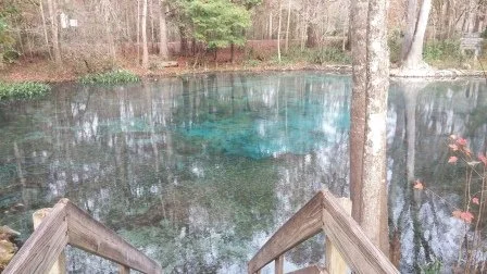 2015December Ginnie Springs (11).jpg