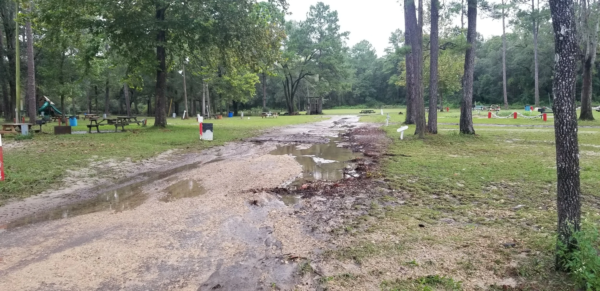 2020Sept17 Hurricane Sally - Vortex (2).jpg