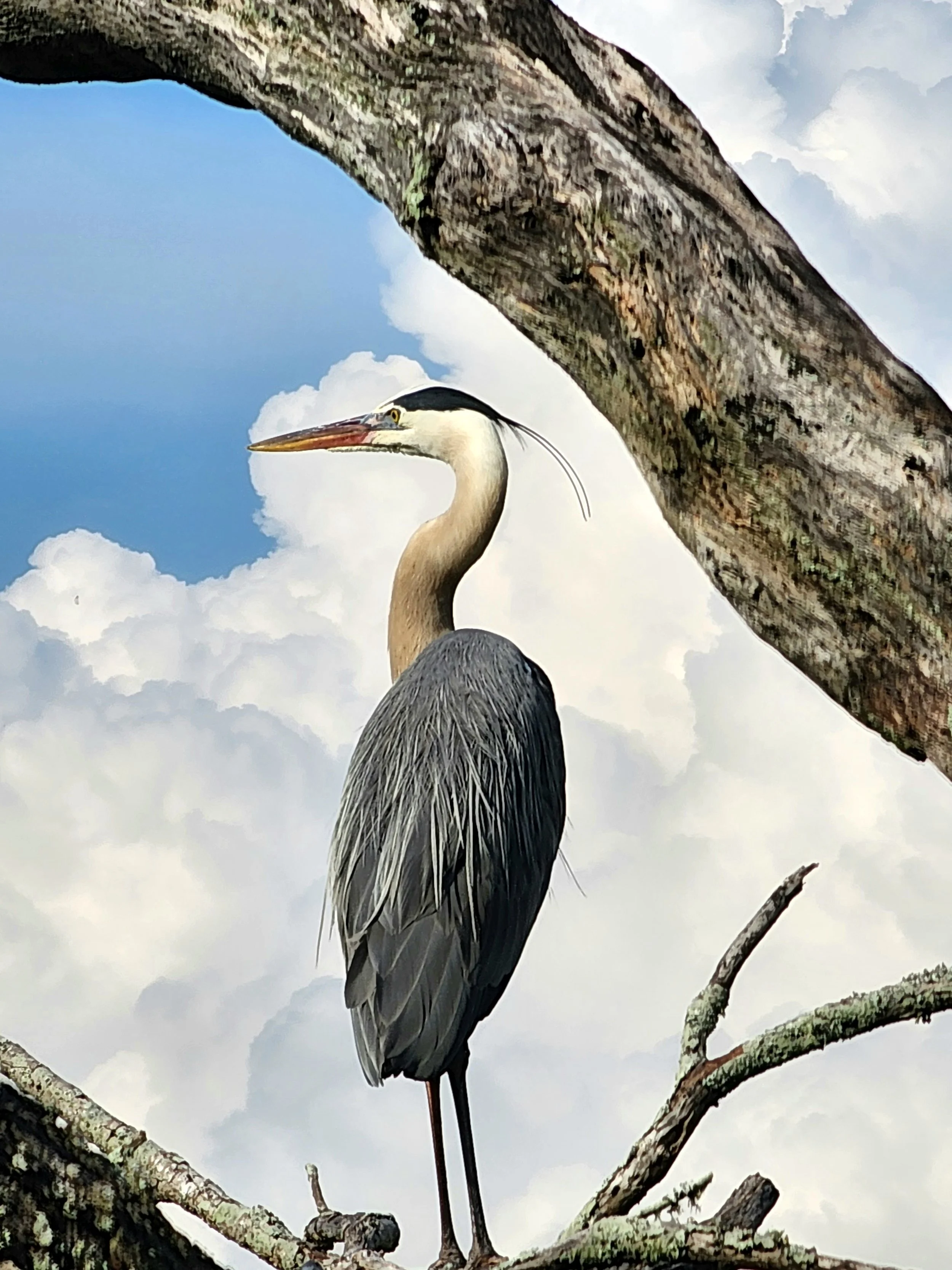 St. Andrews State Park, Panama City Beach, FL