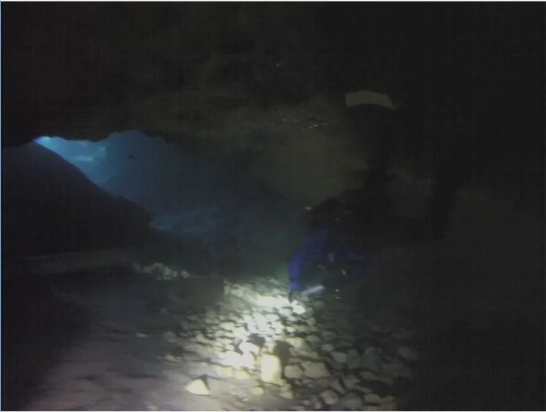 2019 March - Vortex Springs (10).jpg