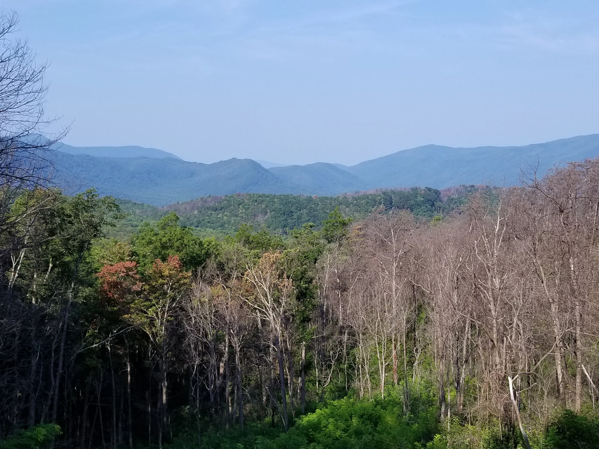 20180826_093243.jpg