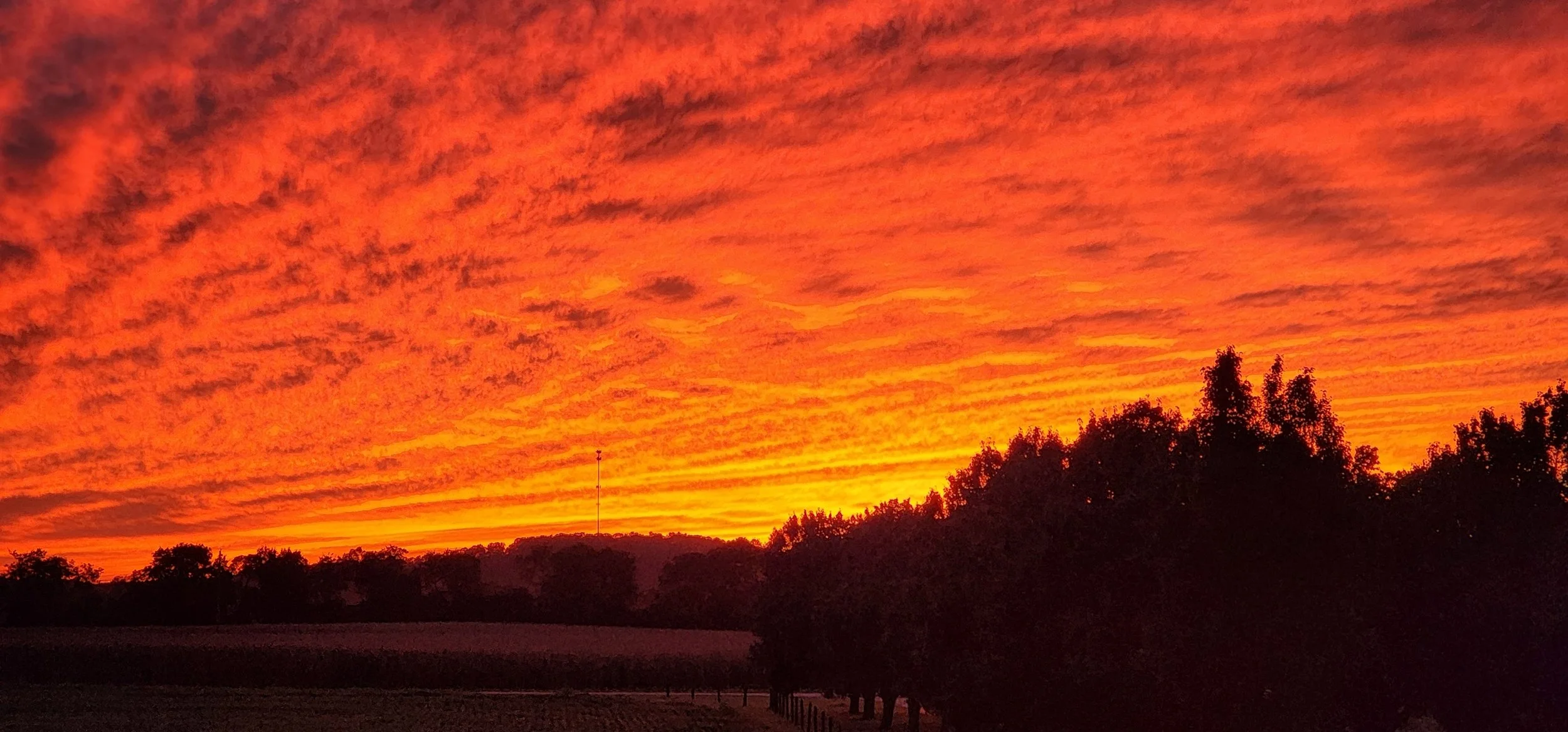 TNFarmScenes (142).jpg