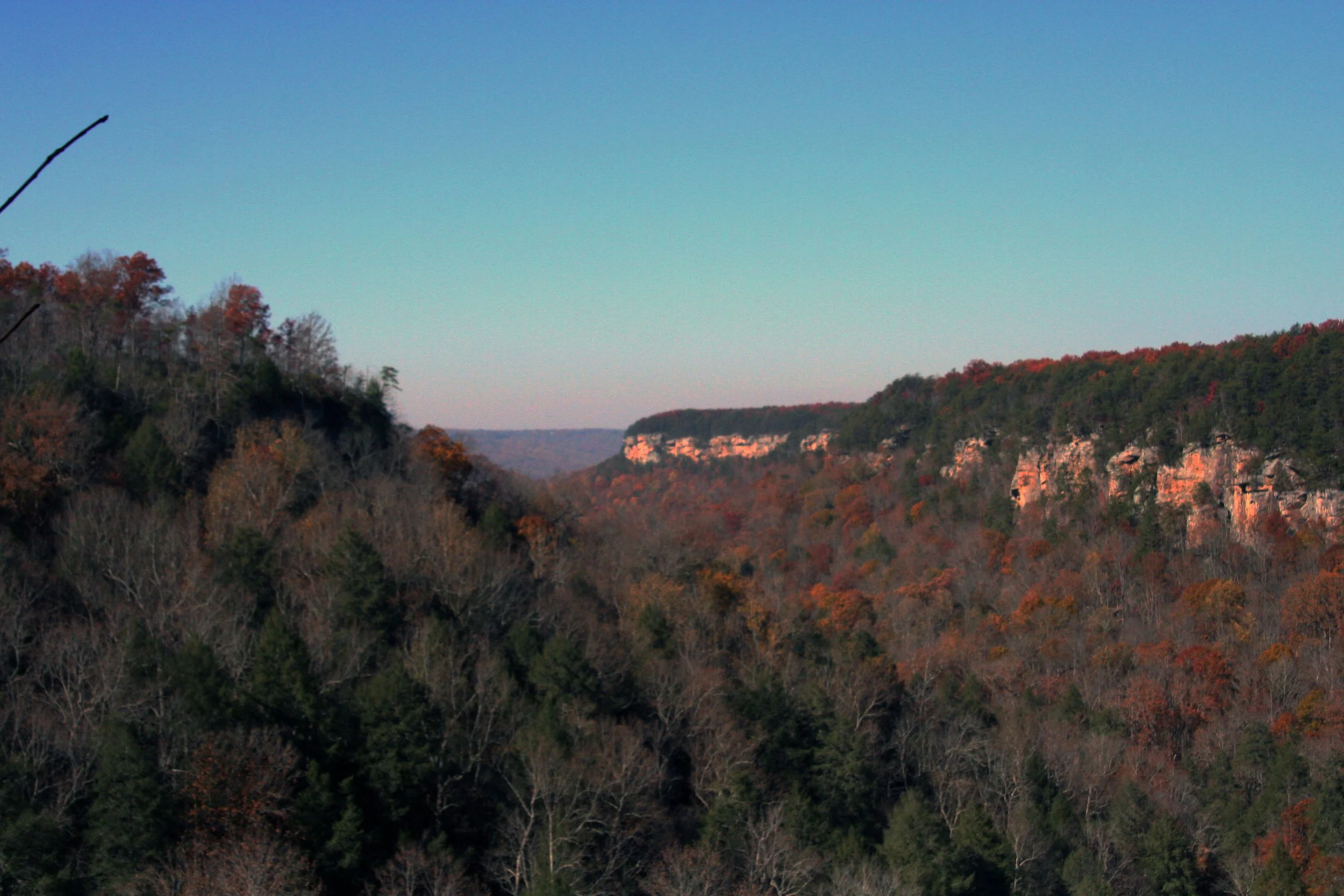 2011Nov11 SavageGulfHike (31).jpg