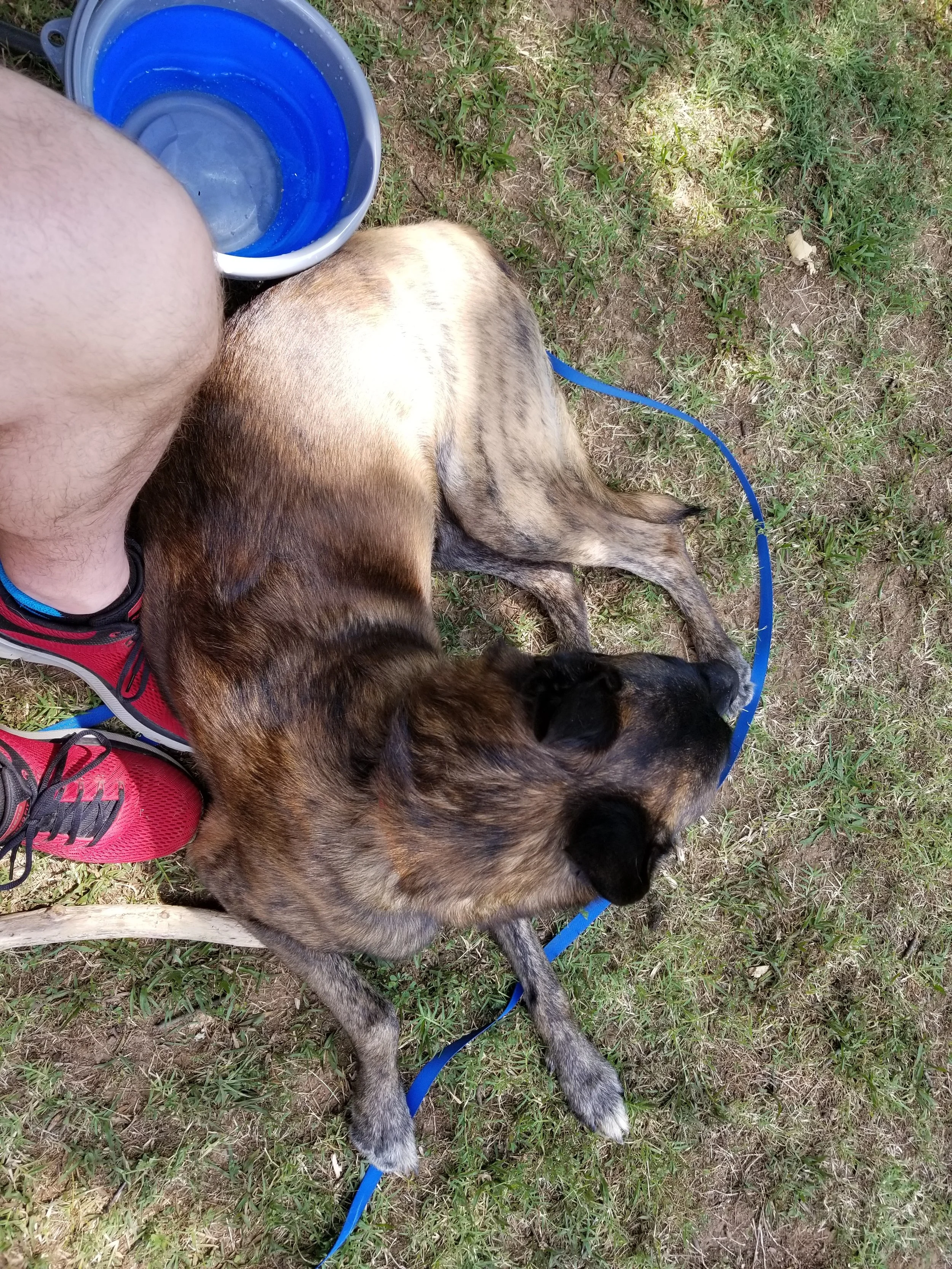 20190531_105712.jpg