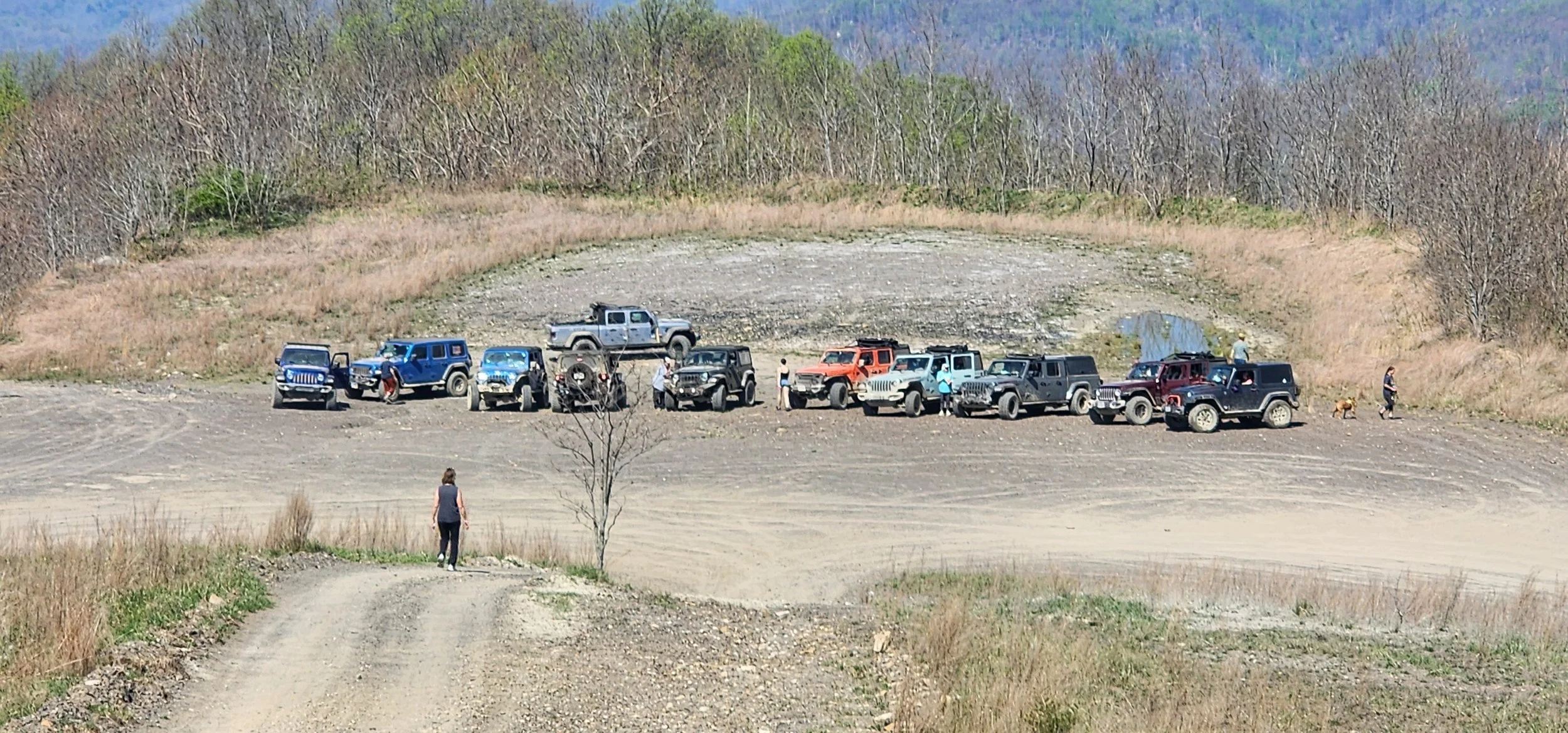 20260411_115059.jpg