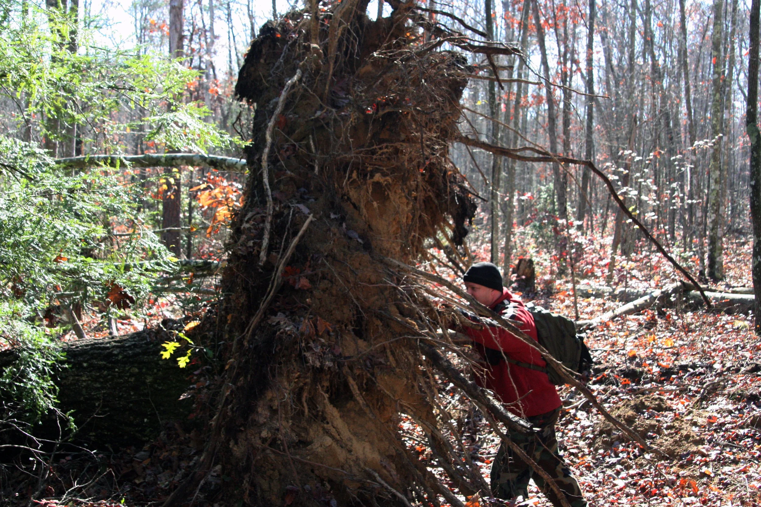 2011Nov11 SavageGulfHike (17).jpg