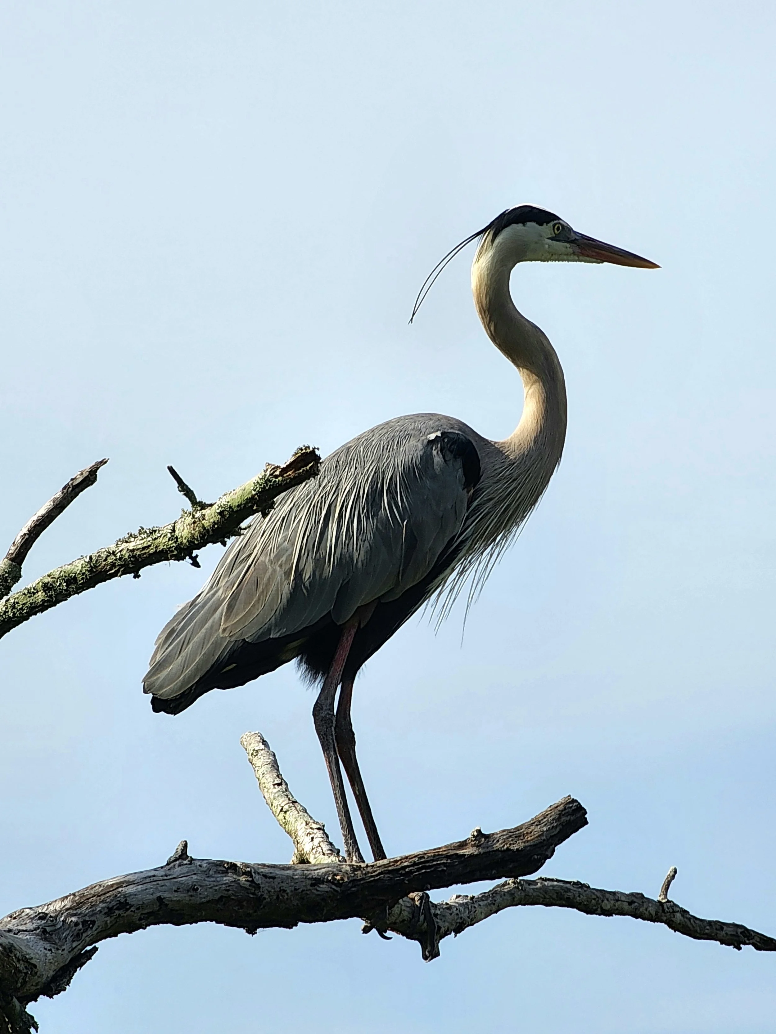 St. Andrews State Park, Panama City Beach, FL