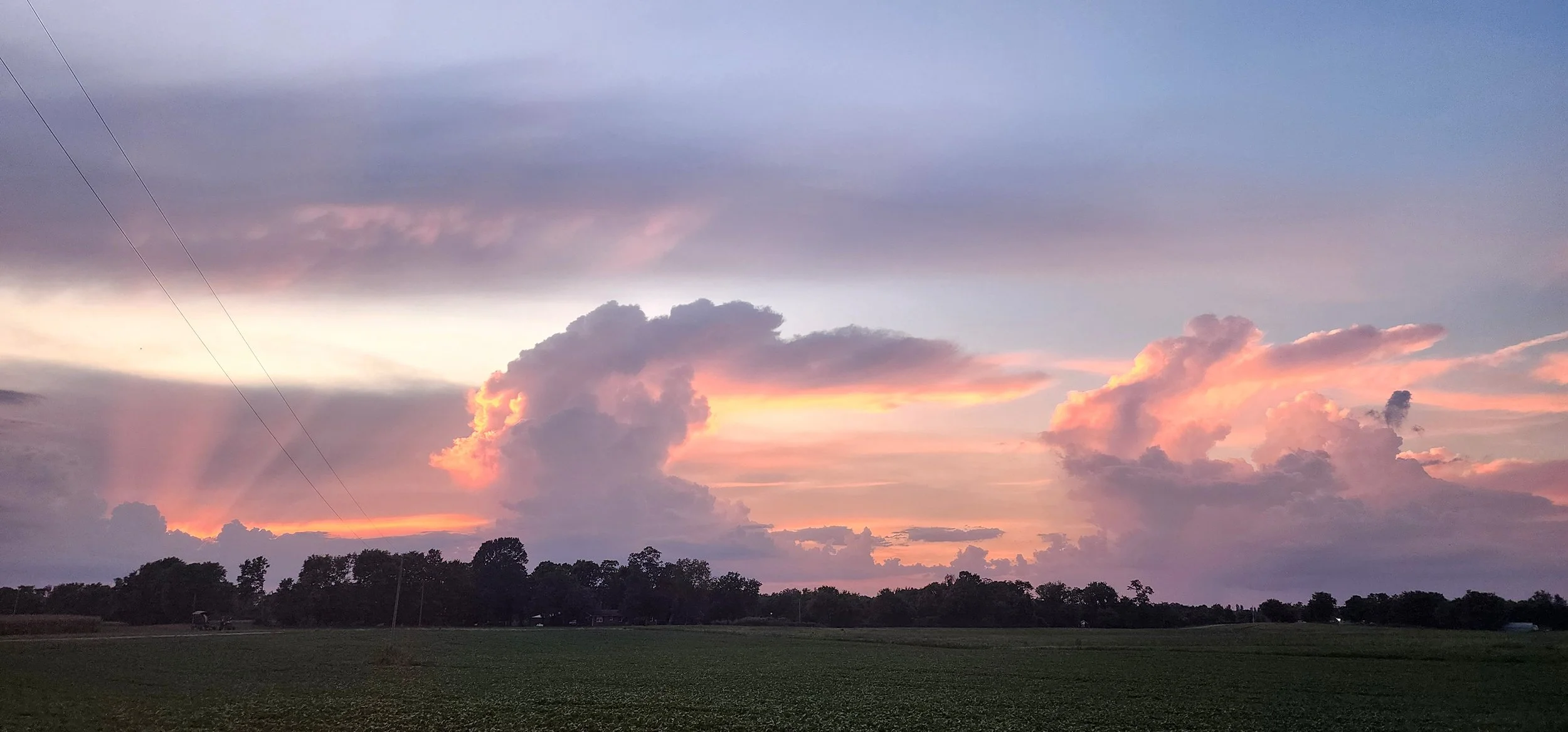 TNFarmScenes (131).jpg