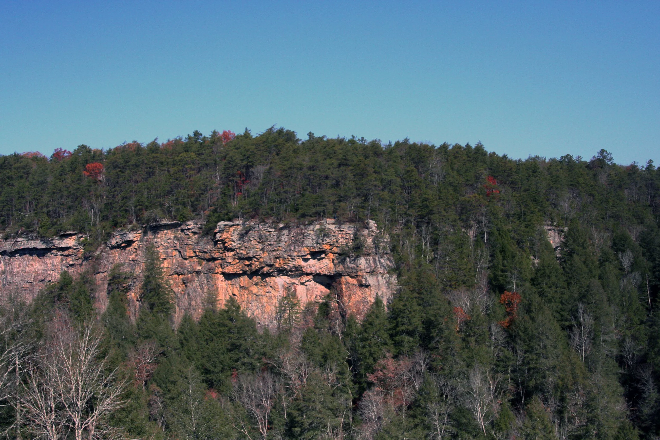 2011Nov11 SavageGulfHike (21).jpg