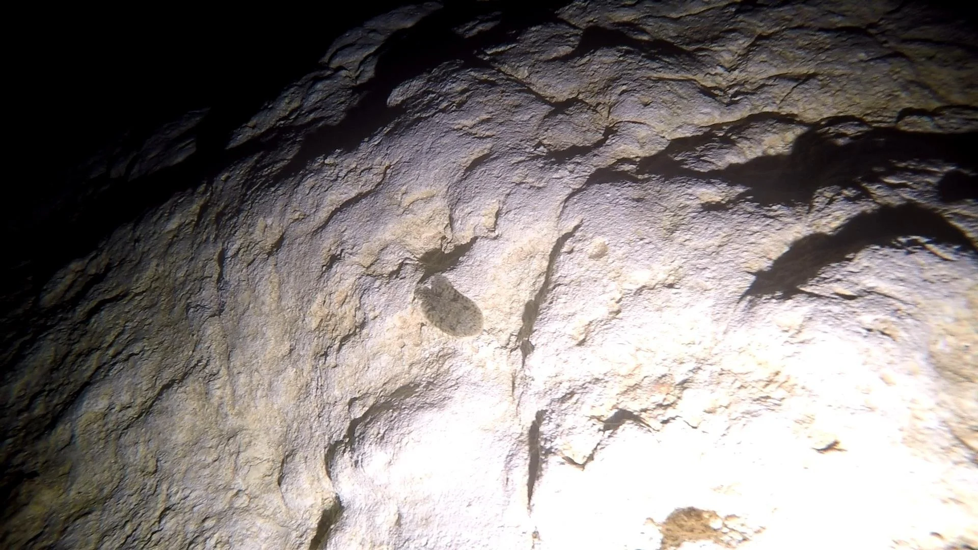 GOPR0717.MP4_snapshot_01.00_[2021.04.13_18.16.39].jpg