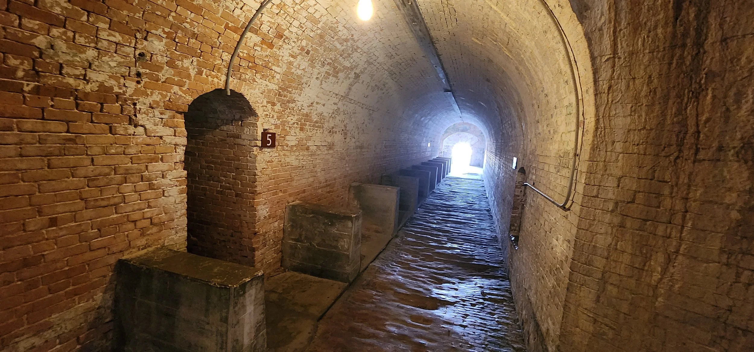 20241031_161424.jpg