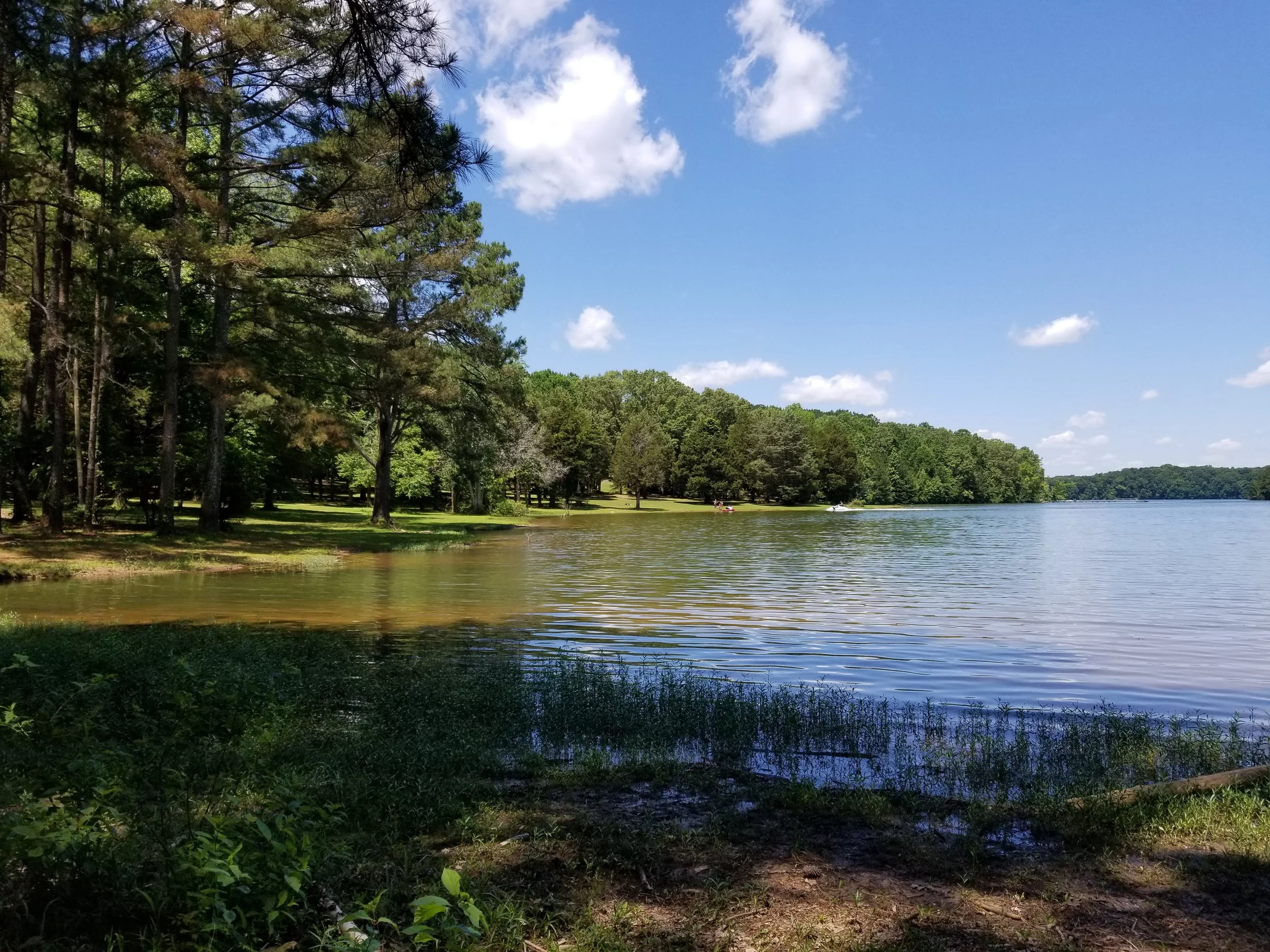 20190531_114928.jpg