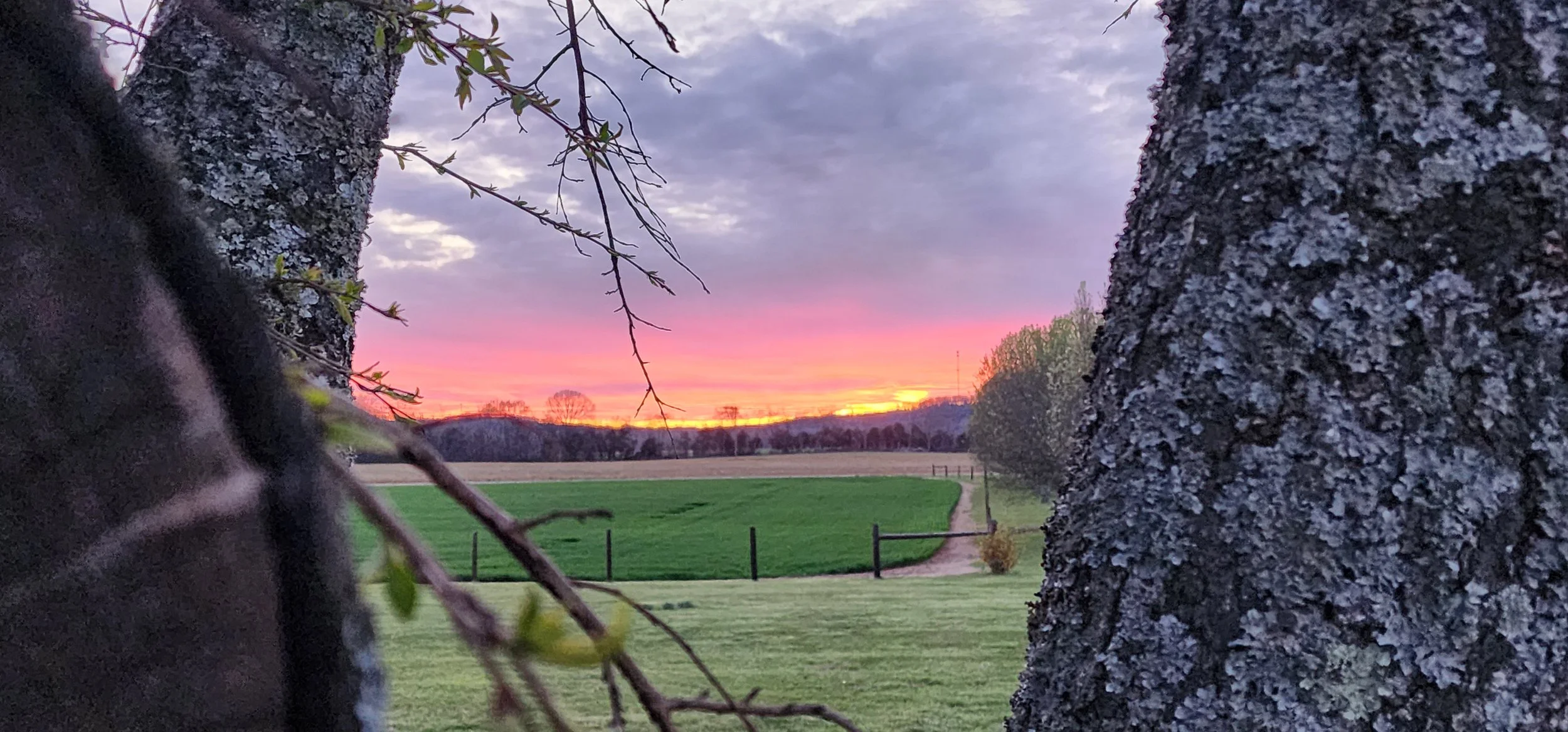 TNFarmScenes (19).jpg