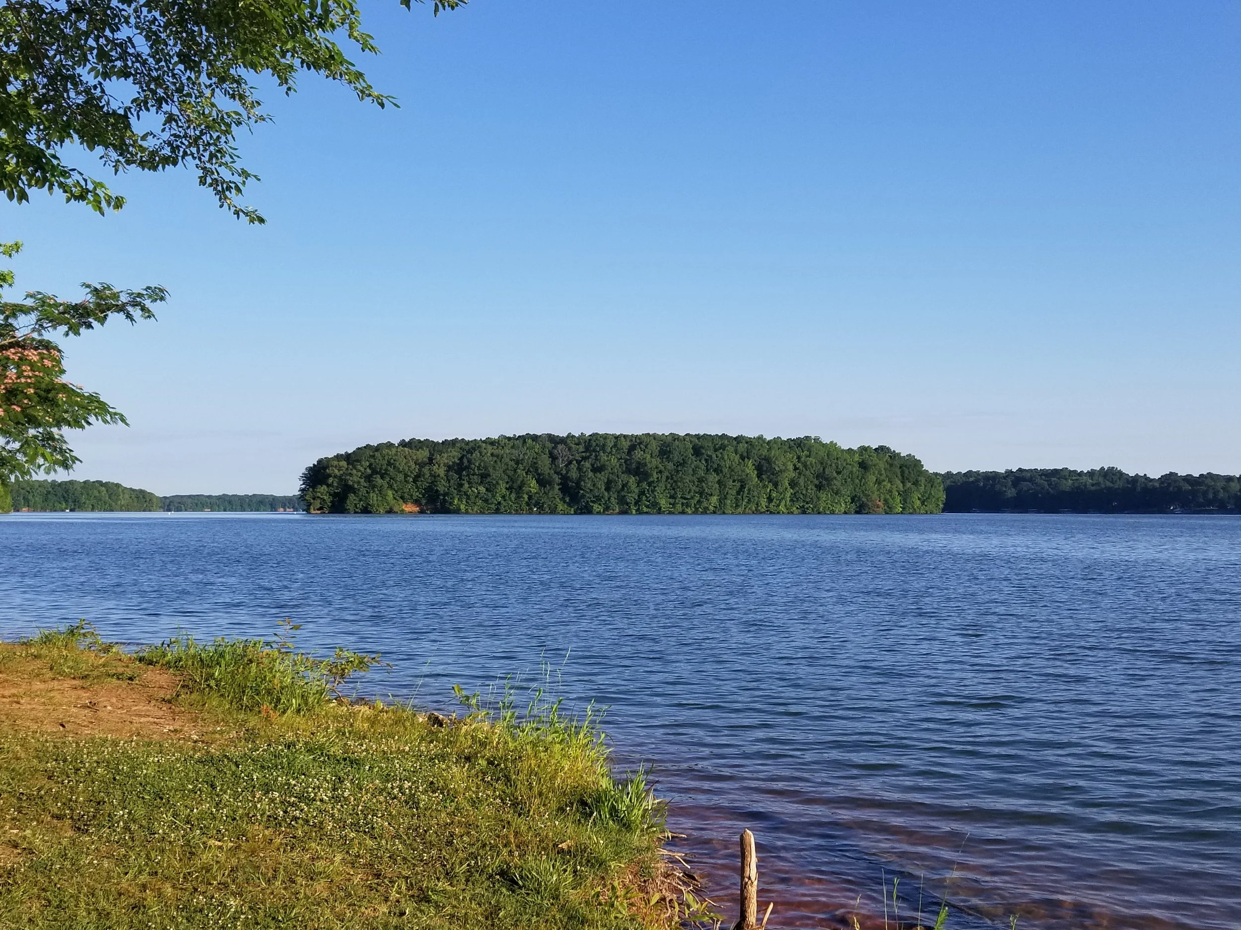 20190531_070626.jpg