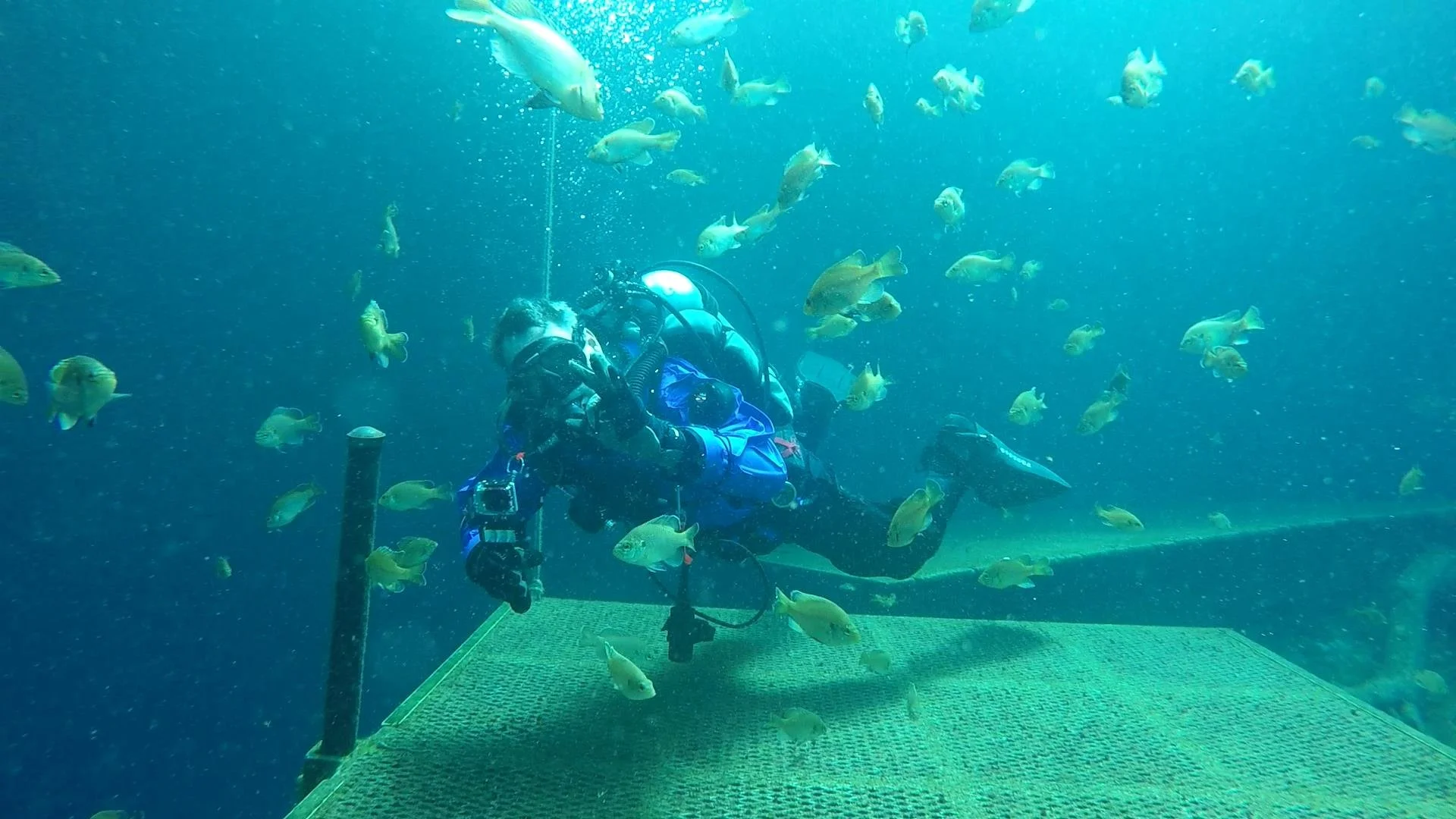 GOPR0722.MP4_snapshot_01.19_[2021.04.14_20.16.16].jpg