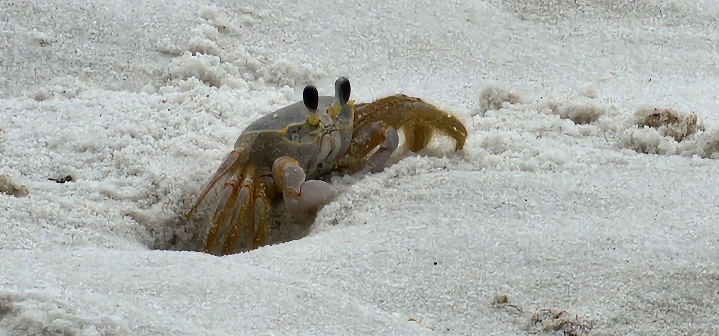 Pensacola Beach, FL