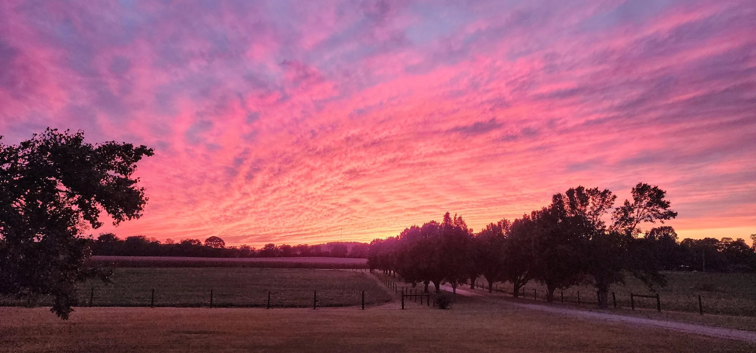 TNFarmScenes (139).jpg