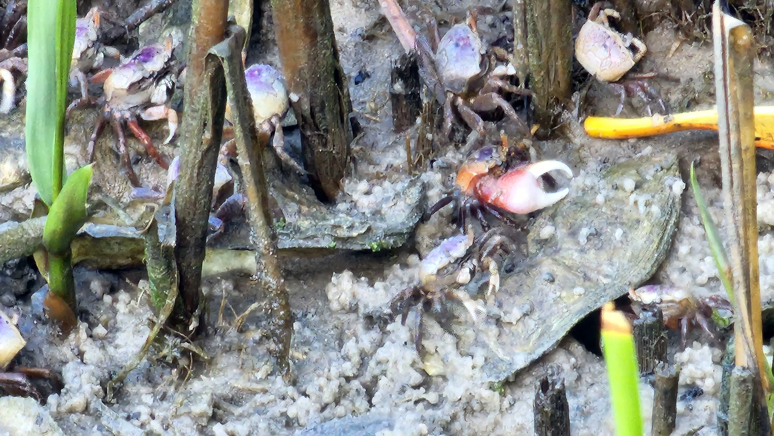 20230729_093643.jpg