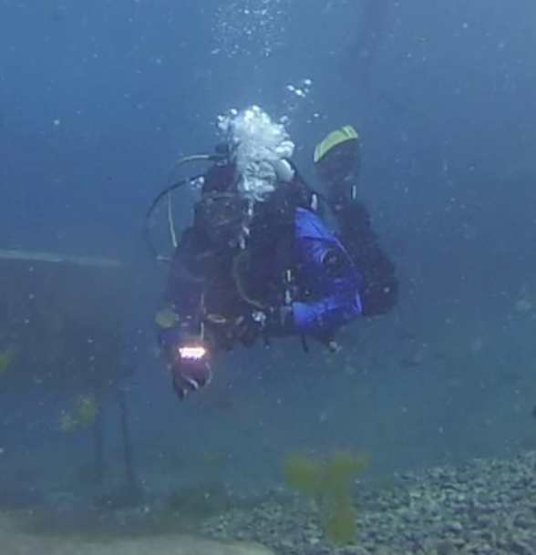 DAG_DivePosition2.png