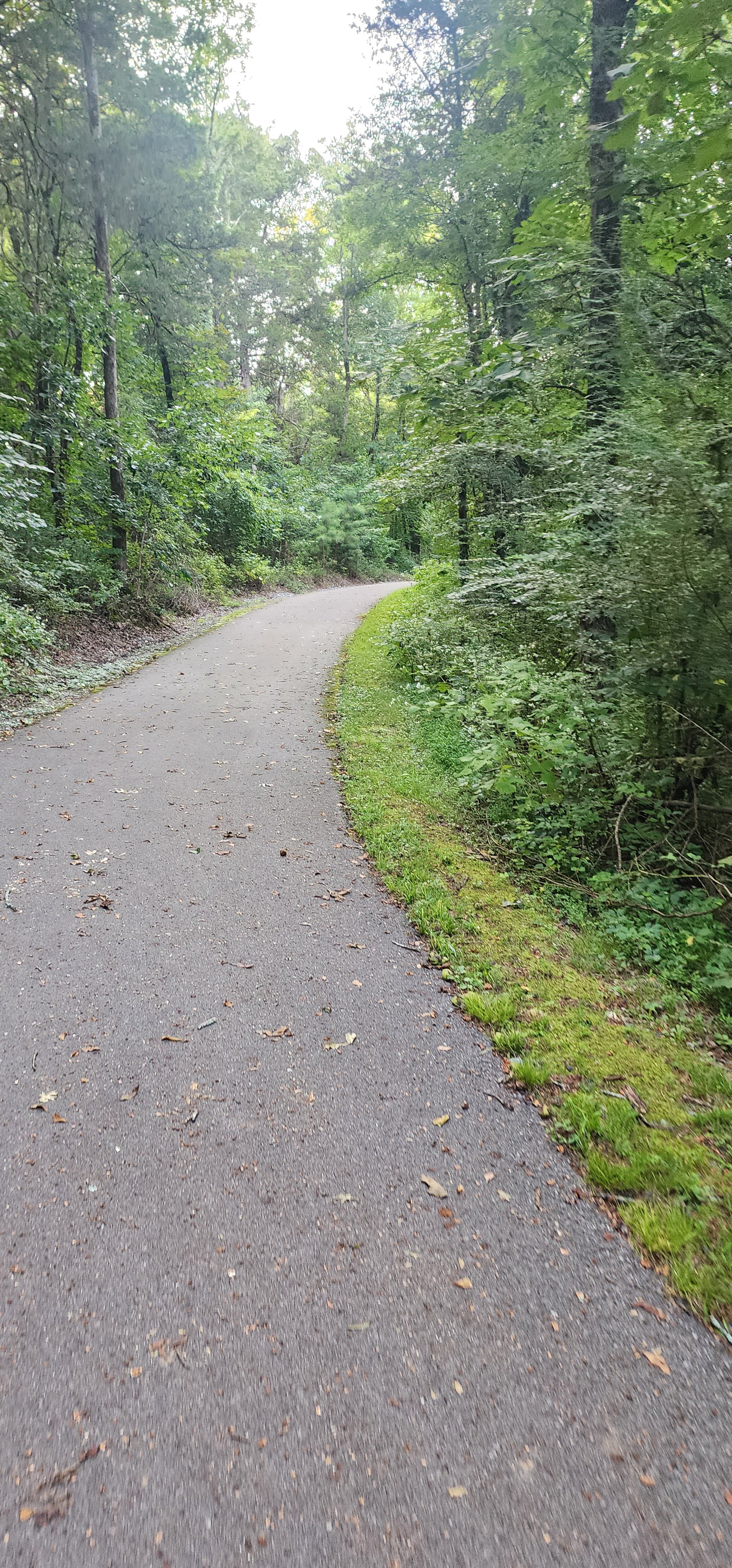 NorthTrailHead_MBoroGreenway (11).jpg