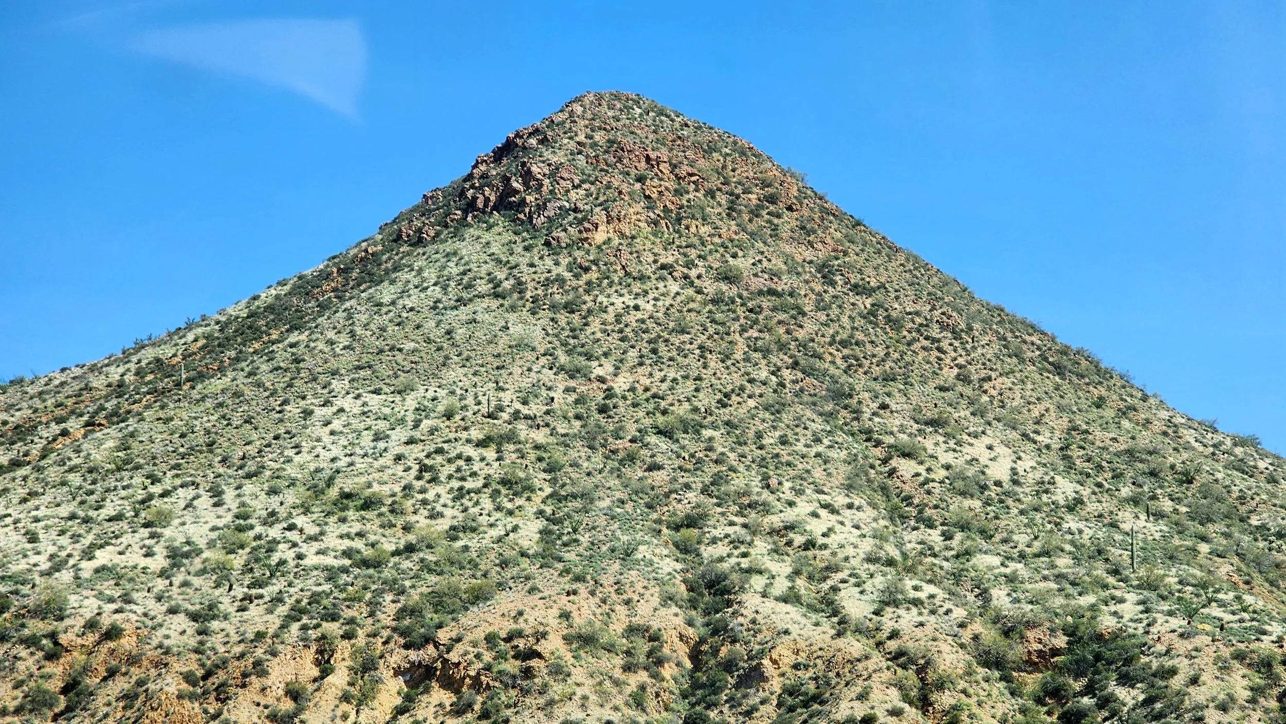 20240310_141903.jpg