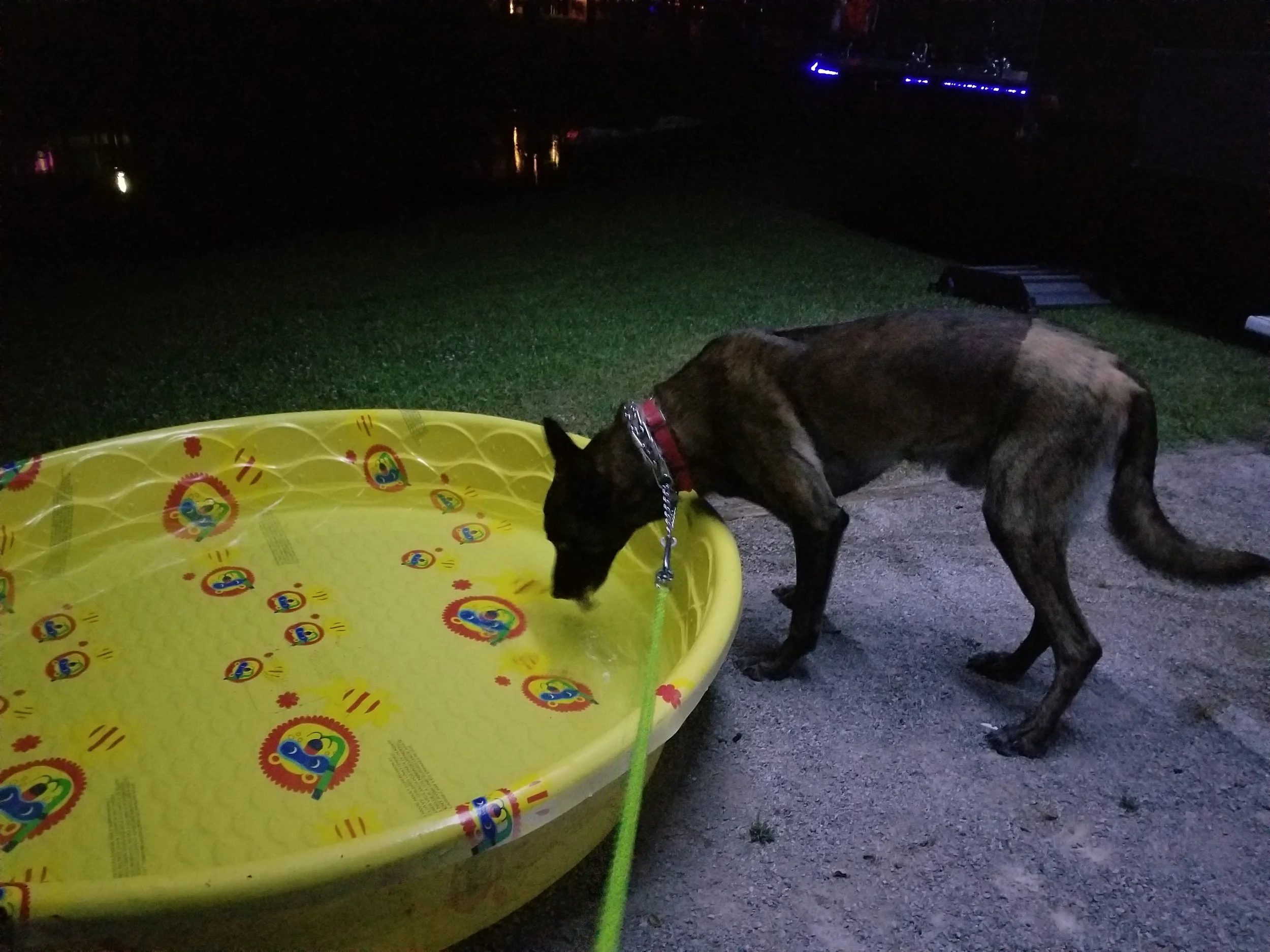 20190530_205223.jpg