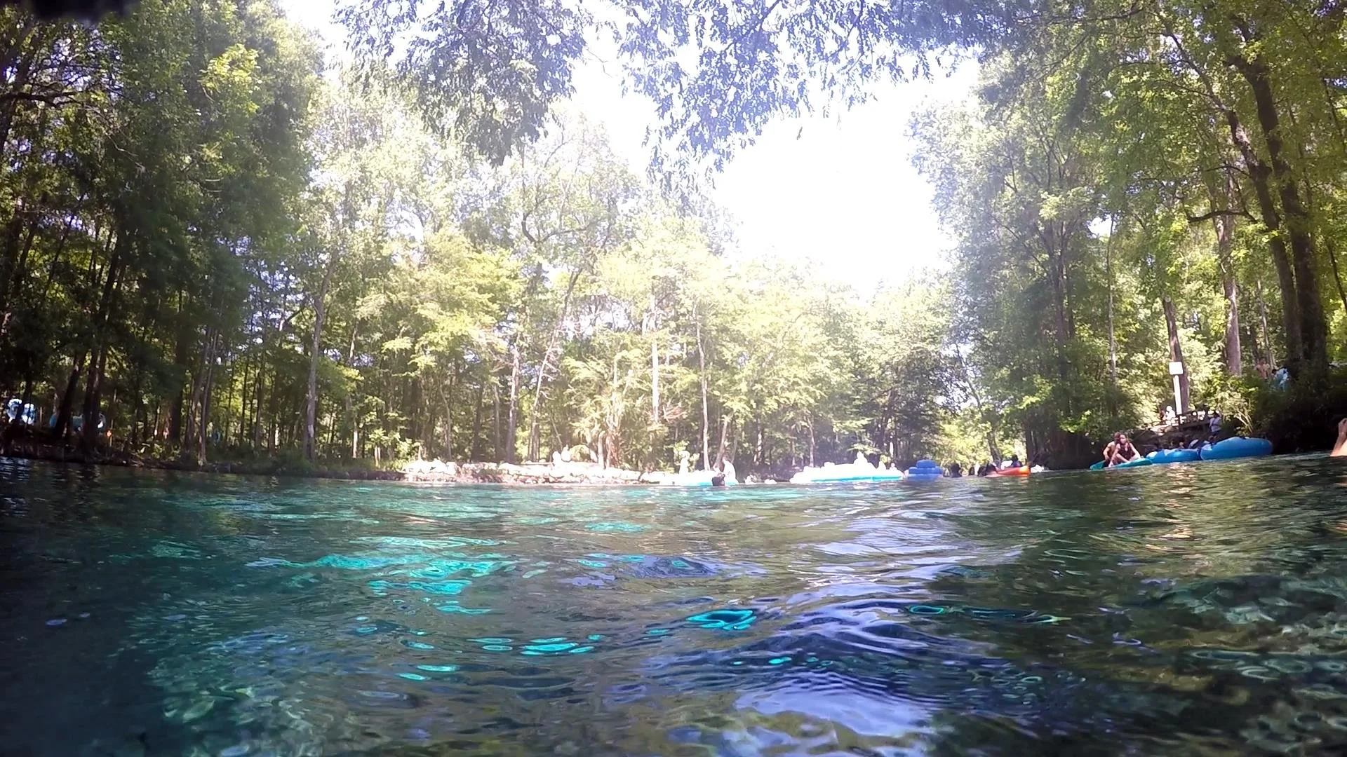 GOPR0719.MP4_snapshot_04.01_[2021.04.13_19.22.50].jpg