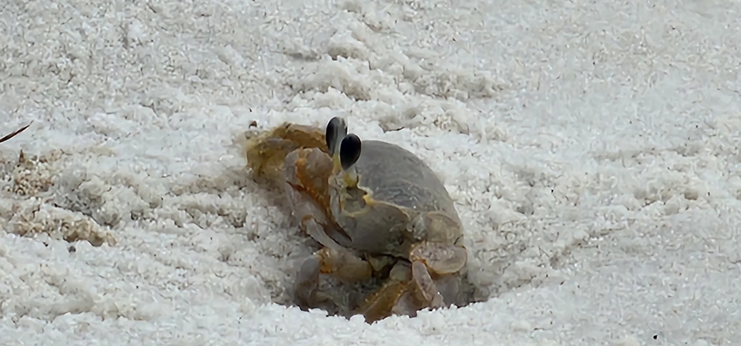 Pensacola Beach, FL