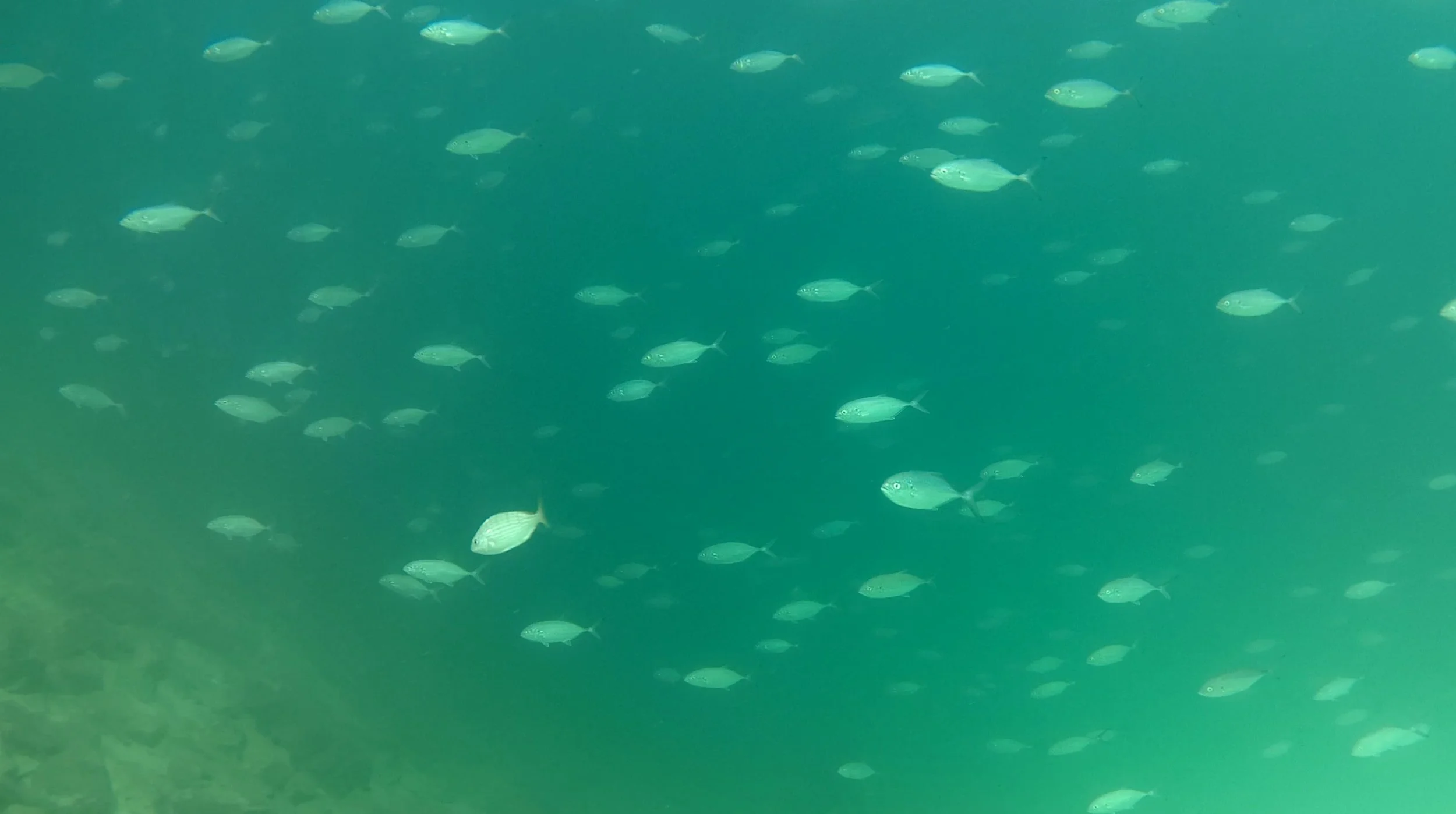 09032024 001.jpg