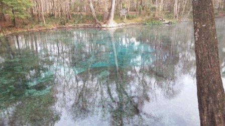 2015December Ginnie Springs (7).jpg