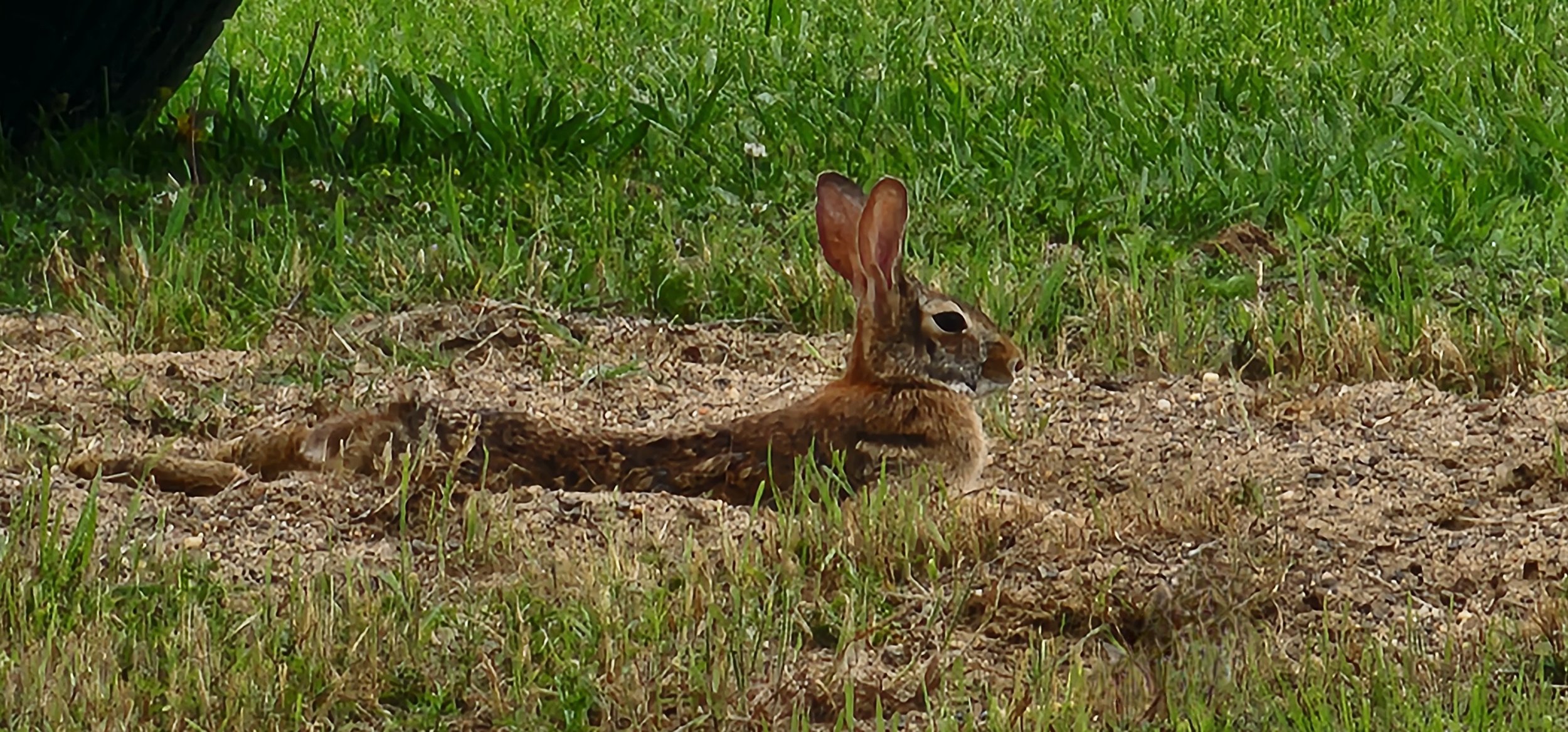 TNFarmScenes (57).jpg