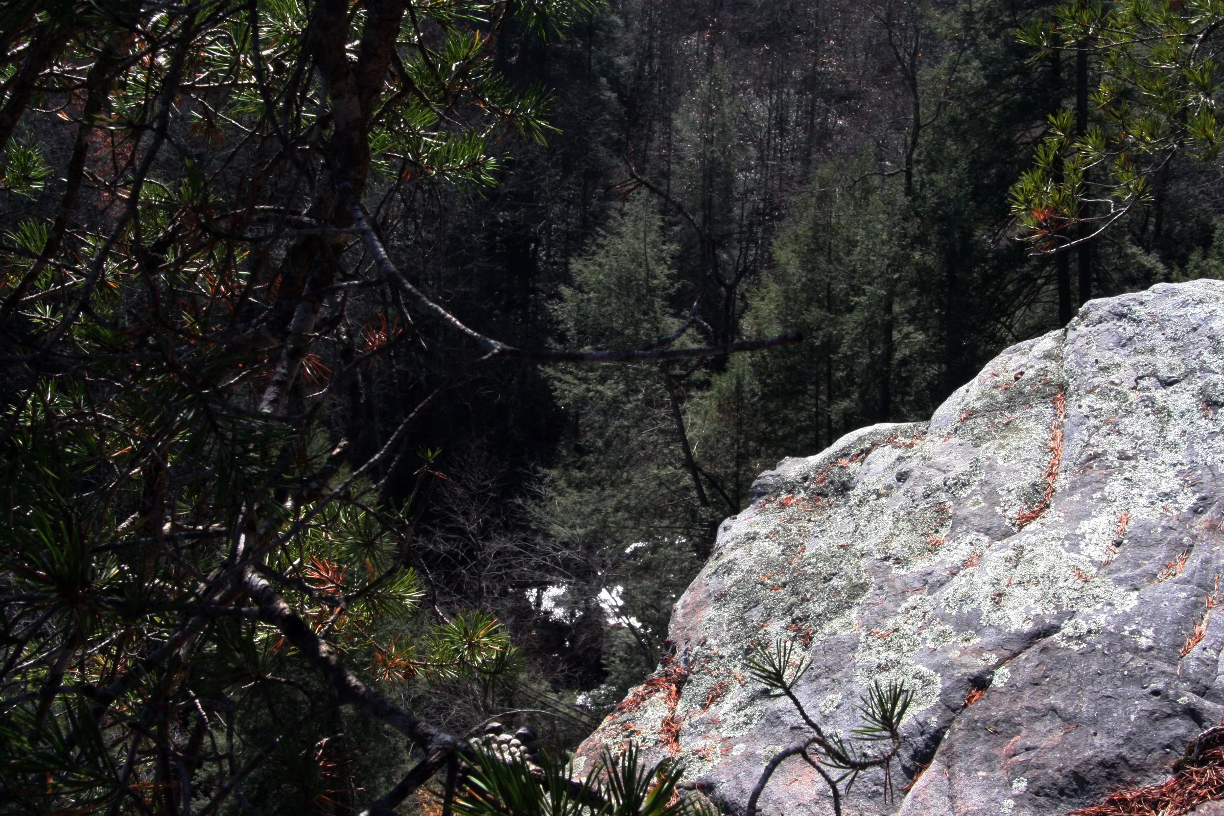 2011Nov11 SavageGulfHike (25).jpg