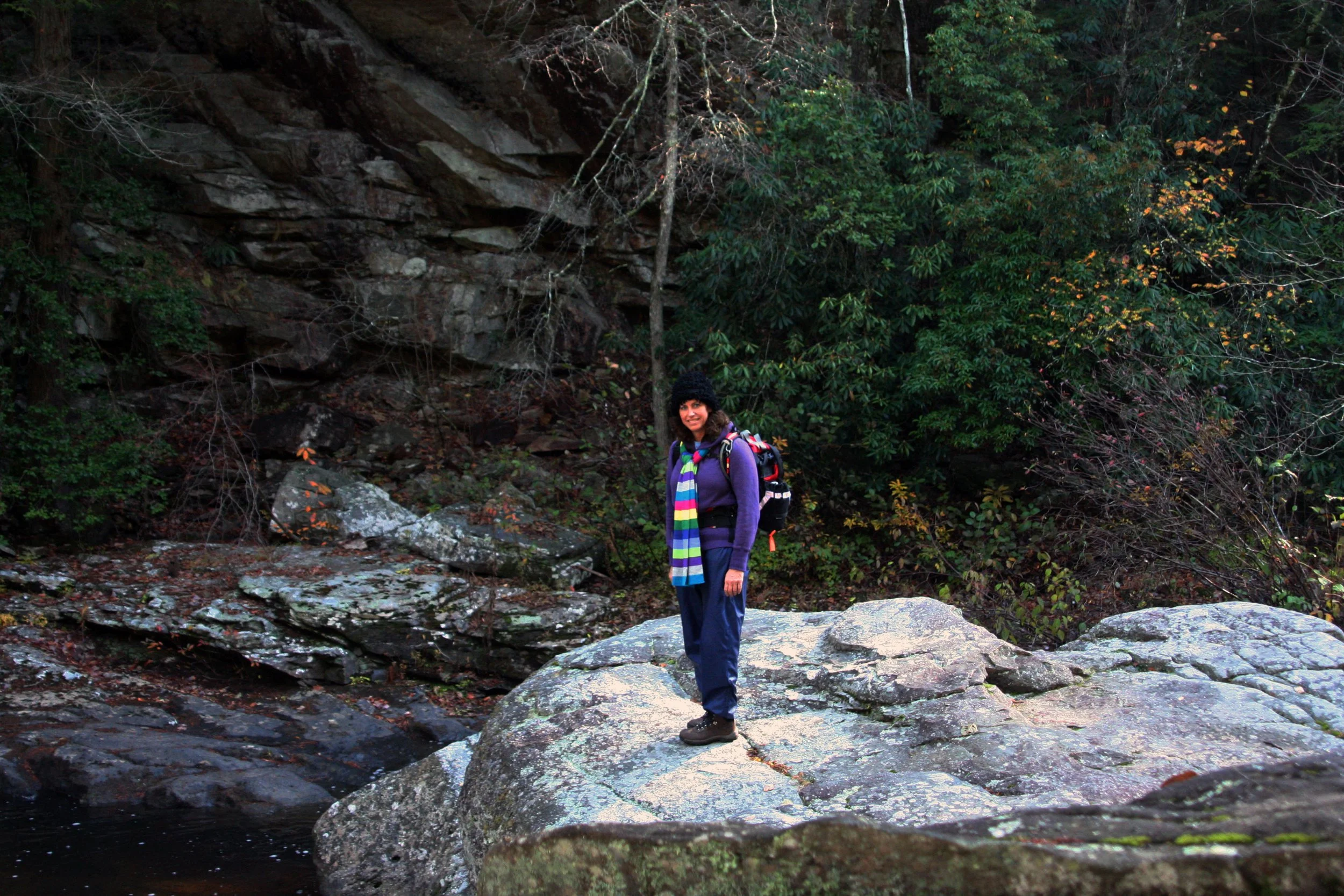 2011Nov11 SavageGulfHike (14).jpg