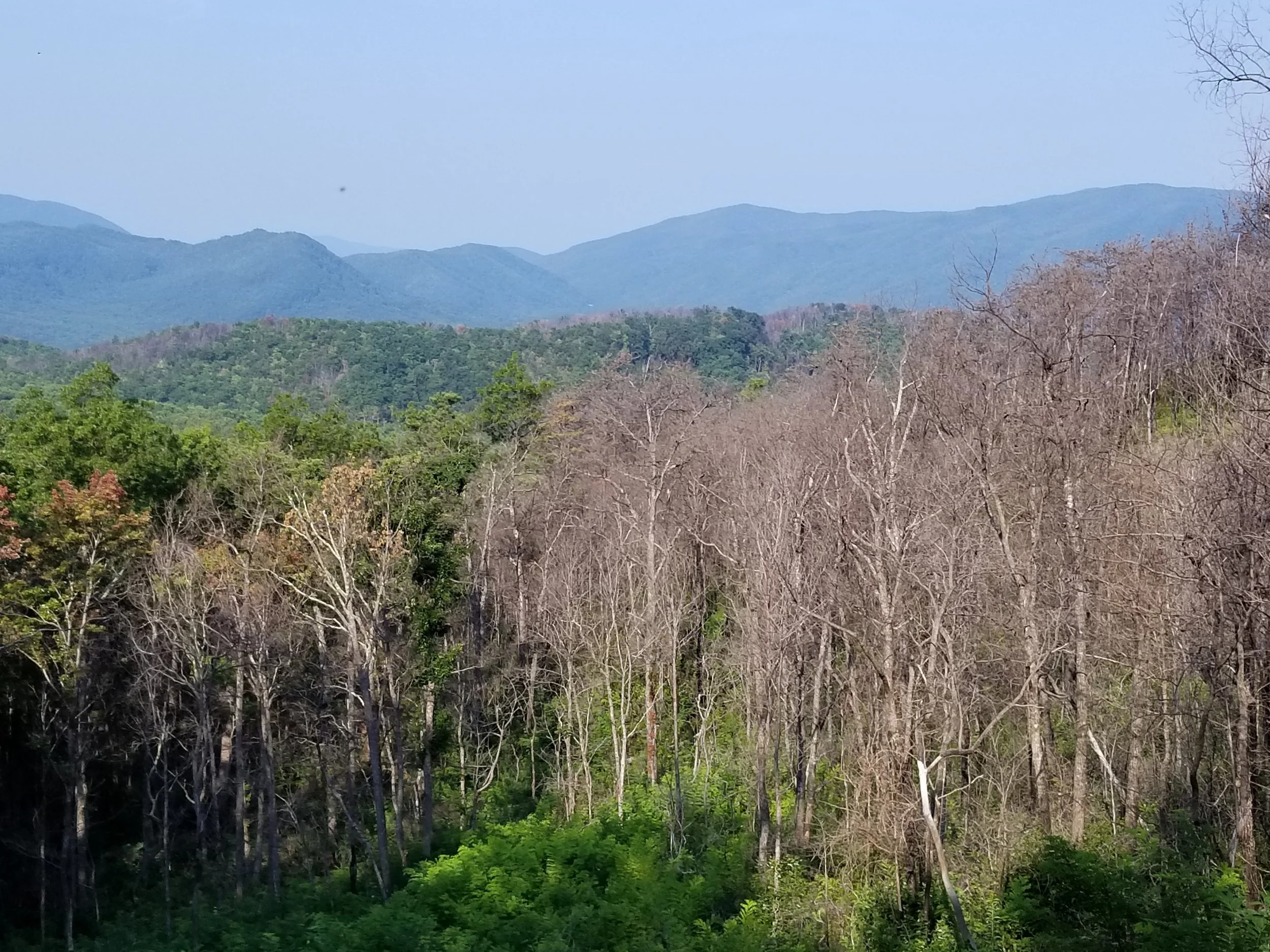 20180826_093234.jpg