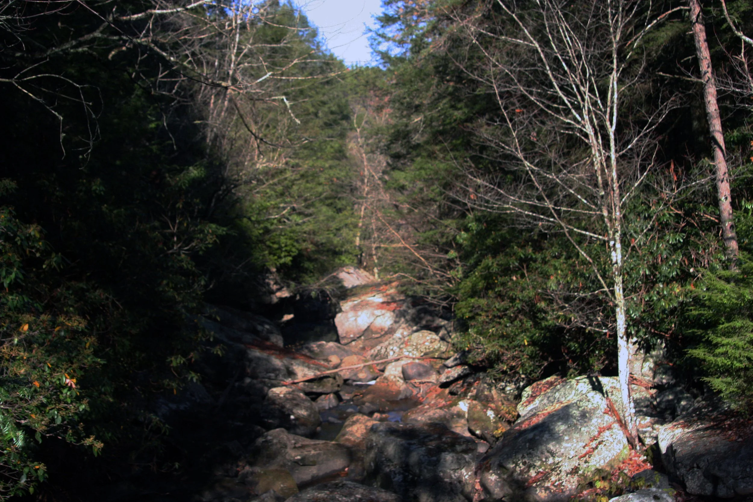 2011Nov11 SavageGulfHike (12).jpg