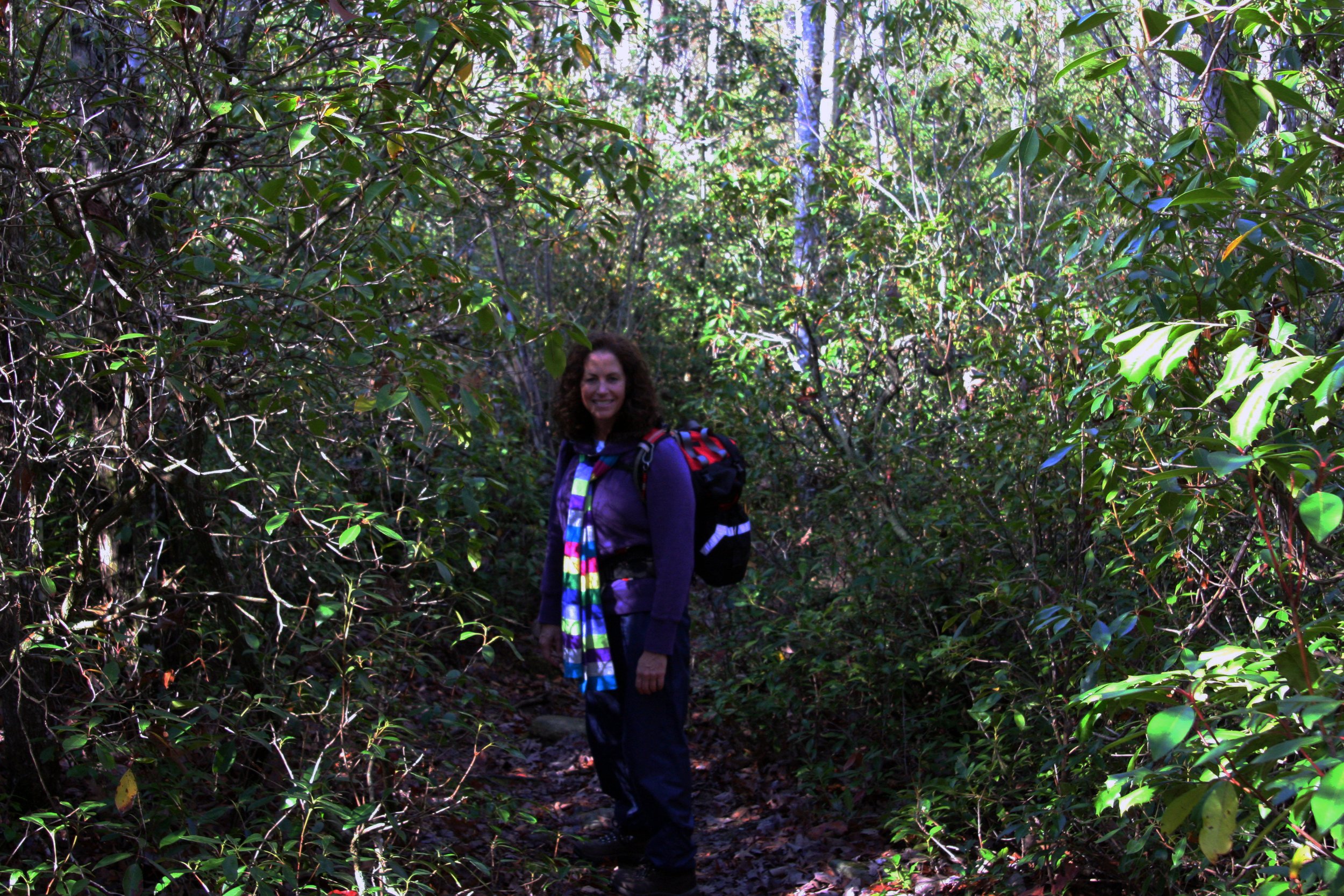2011Nov11 SavageGulfHike (33).jpg
