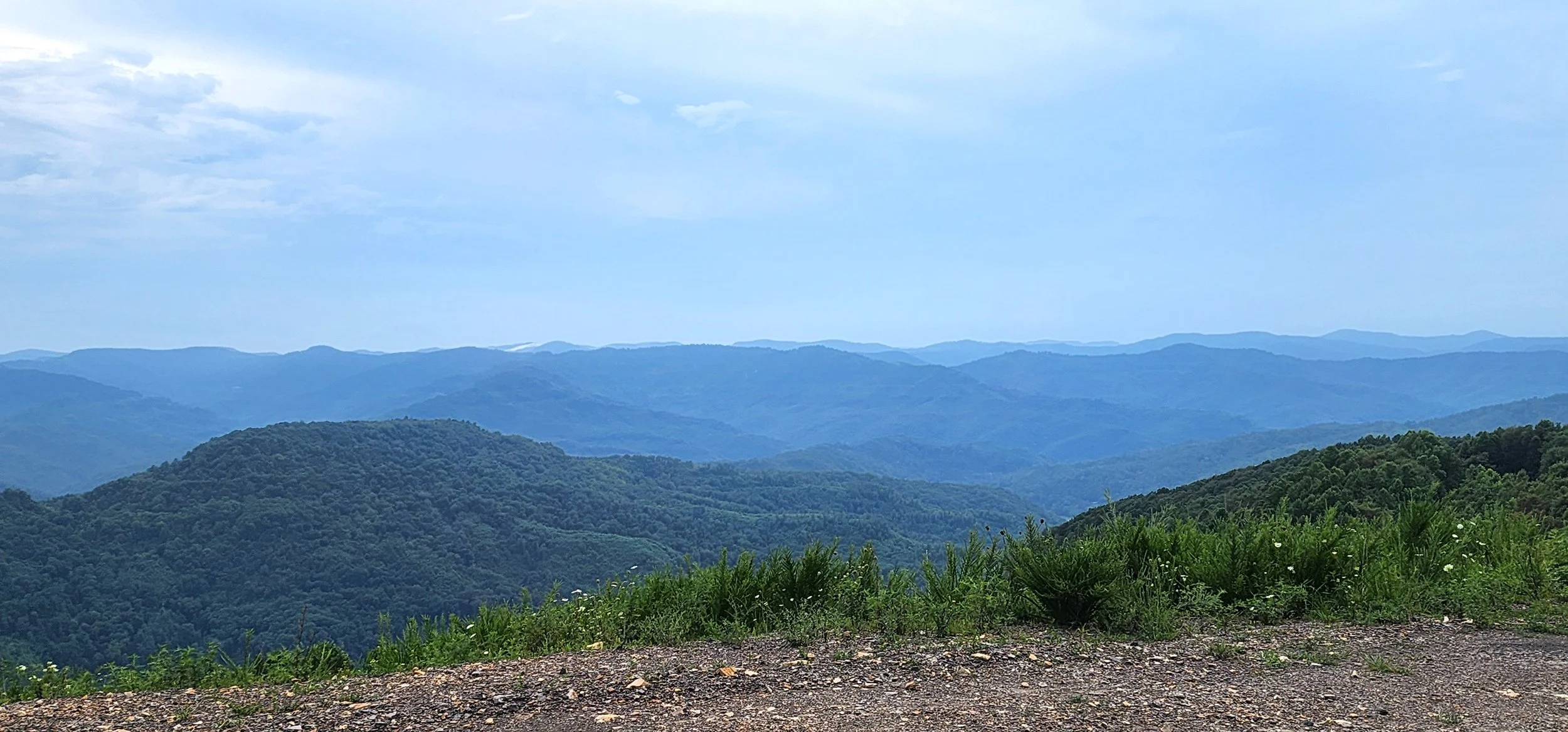 20260808_190508.jpg