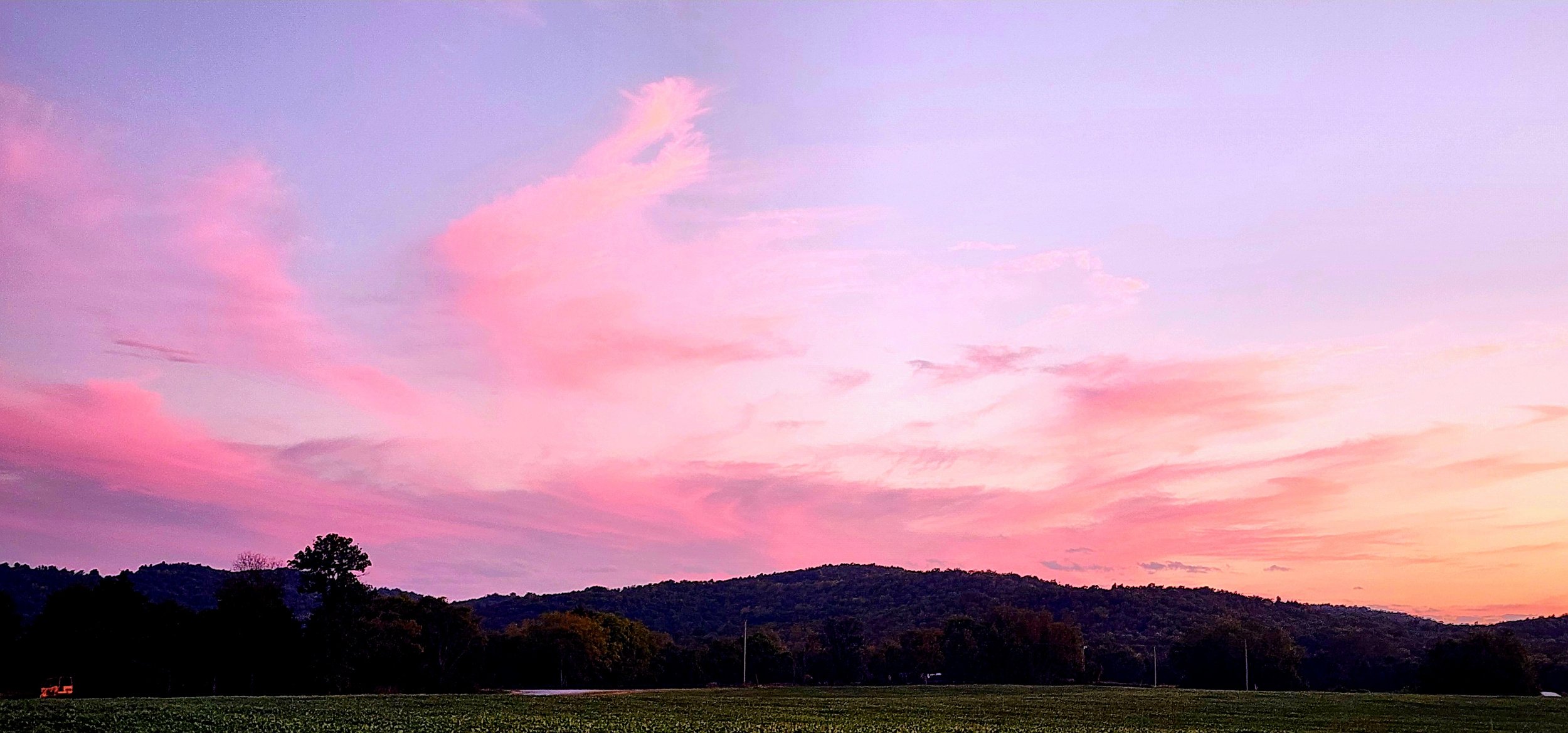TNFarmScenes (169).jpg