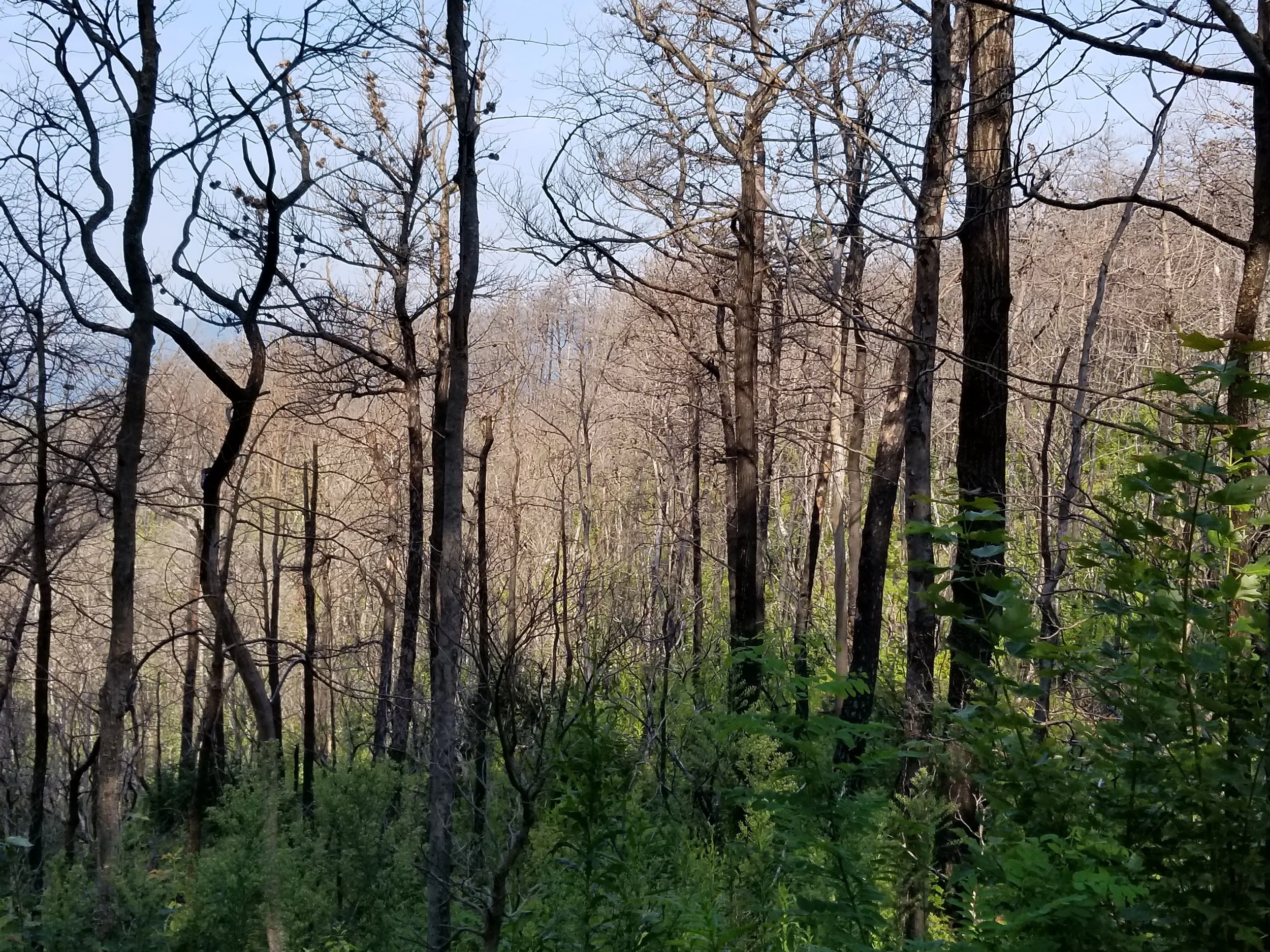 20180826_093330.jpg