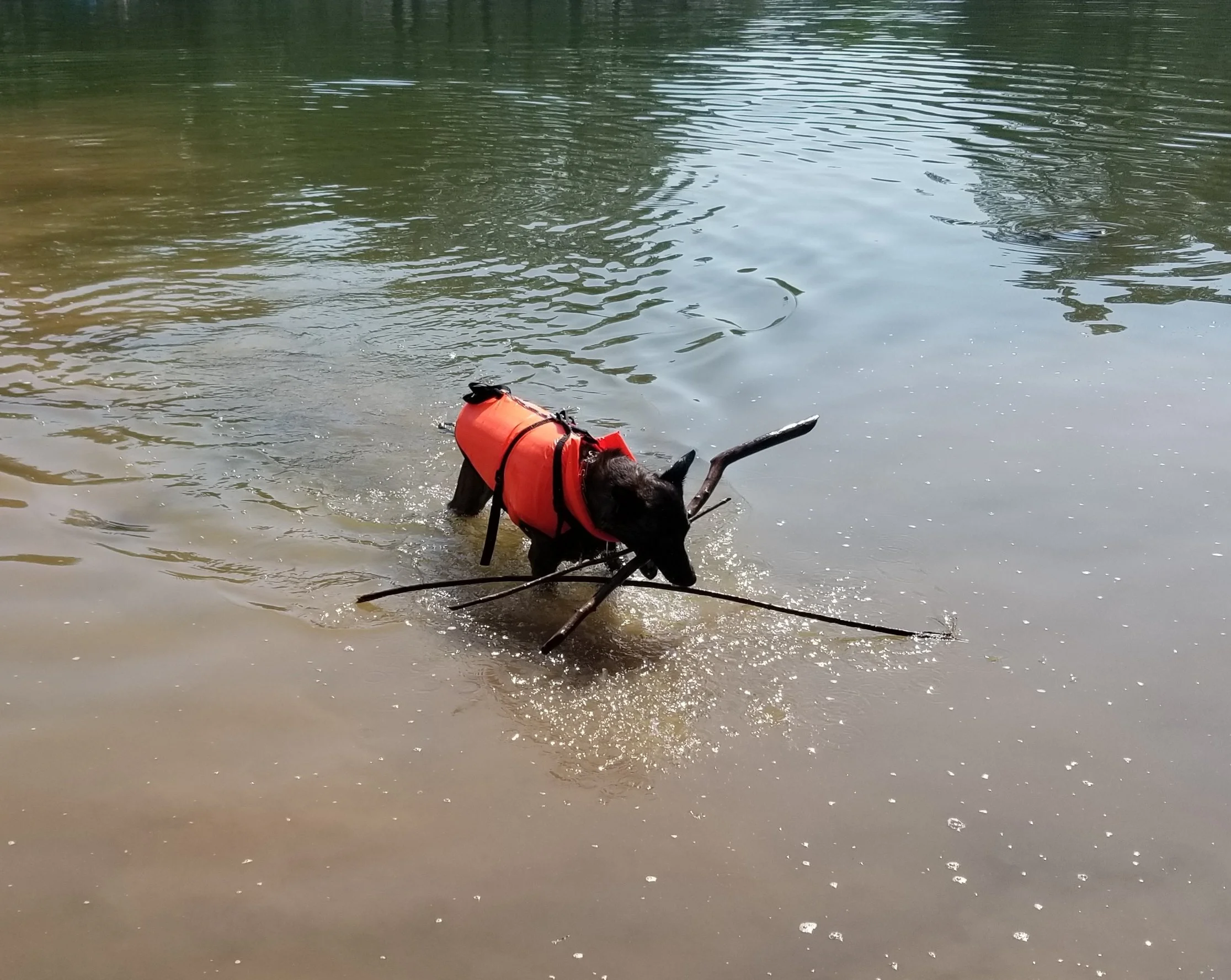 20190602_114520.jpg