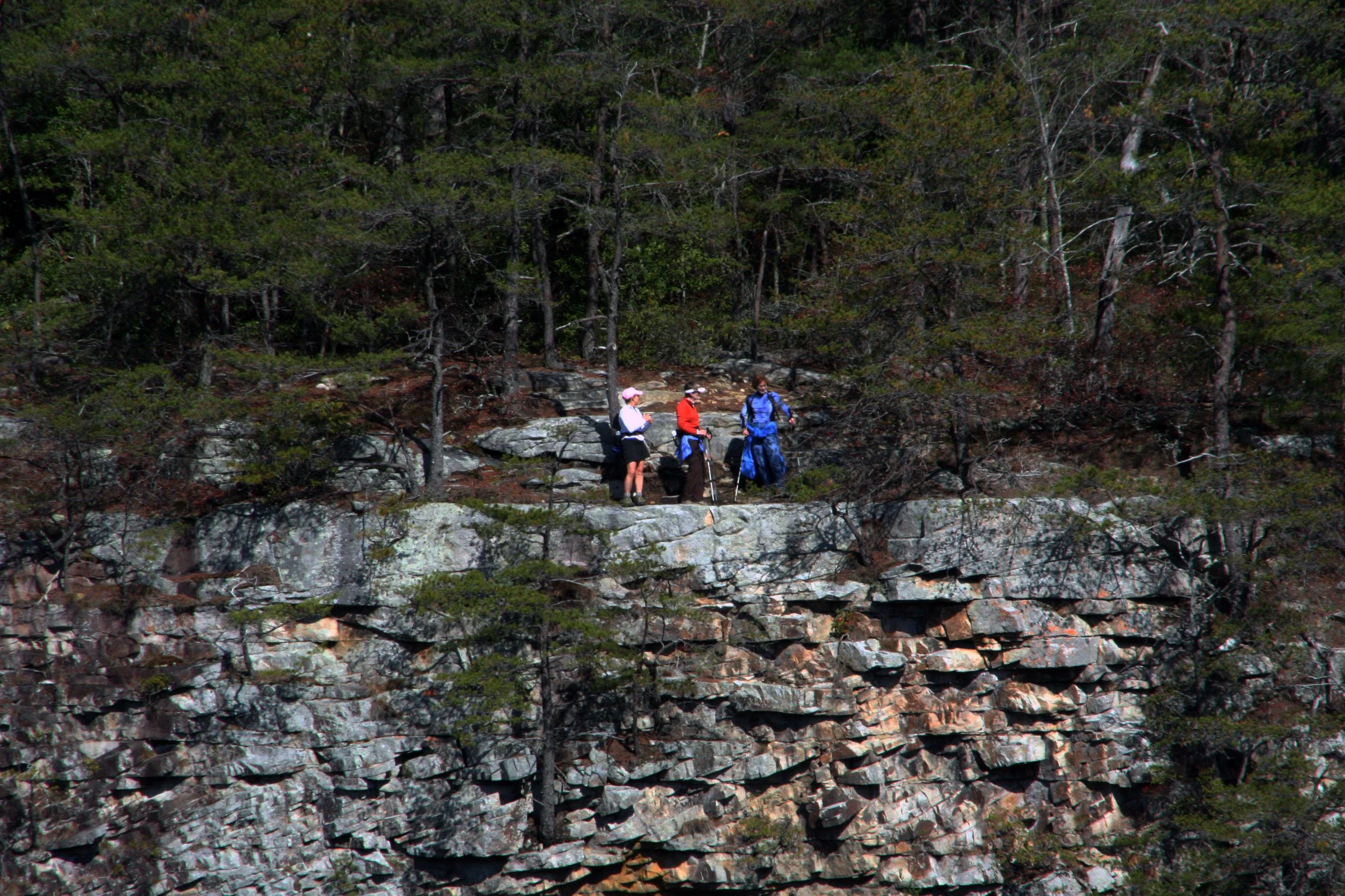 2011Nov11 SavageGulfHike (27).jpg