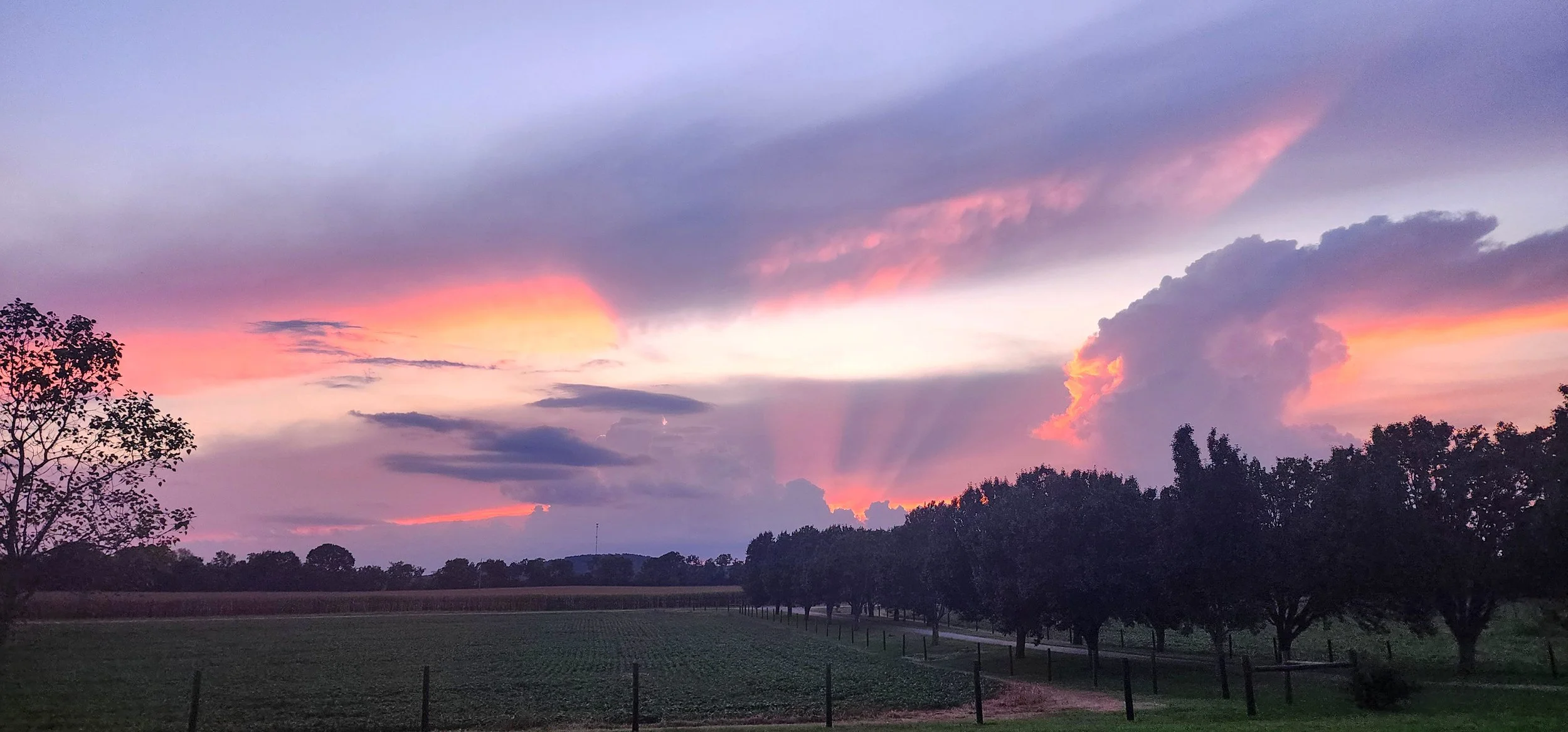 TNFarmScenes (136).jpg